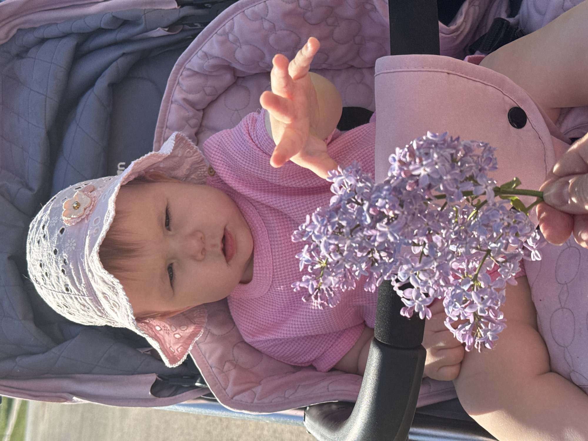 A baby in a pink sunbonnet and pink waffle-weave shirt reclines in a pink and gray stroller, situated outside. The stroller has a black handle and a pink headrest. A bouquet of light purple lilacs is held near the baby's extended left hand by an adult holding a lilac stem. The photograph is taken in Zav'yalovo, Russia.
