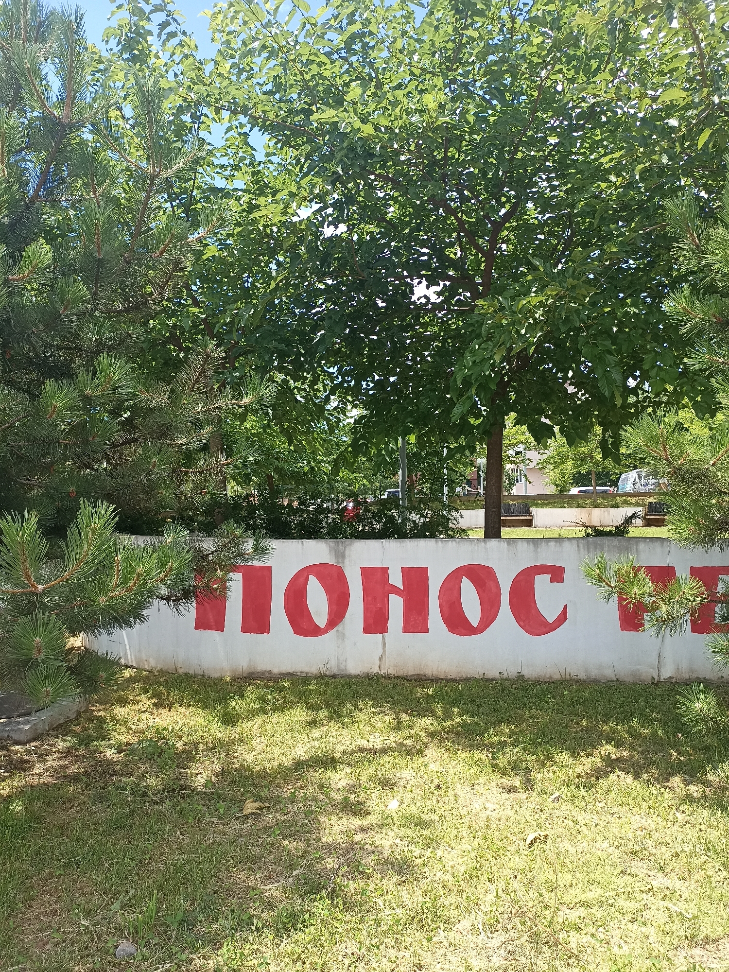 The media file is a photograph of a low, white concrete wall with large, red, block letters painted on it. The visible text on the wall reads "ПОНОС". The letters are slightly weathered and appear to be in a Cyrillic script.
The wall is situated outdoors, with a patch of green grass in the foreground and dappled sunlight indicating a bright, sunny day. Behind the wall, lush green trees with full foliage are visible, suggesting a temperate climate and likely spring or summer. The sky above is clear and blue, with some light filtering through the leaves of the trees. To the left and right edges of the frame, the branches of pine trees with their characteristic needles are prominent, framing the scene.
In the background, beyond the wall and trees, glimpses of buildings and possibly a road with vehicles can be seen, suggesting an urban or suburban setting. The overall impression is one of a bright, outdoor scene, possibly in a park or public space, where the wall serves as a backdrop for the painted inscription. There are no people or specific activities depicted, the focus is on the wall and the text. The inscription "ПОНОС" translates to "Pride" in Montenegrin, which is the language commonly spoken in Podgorica, Montenegro, the given location context.