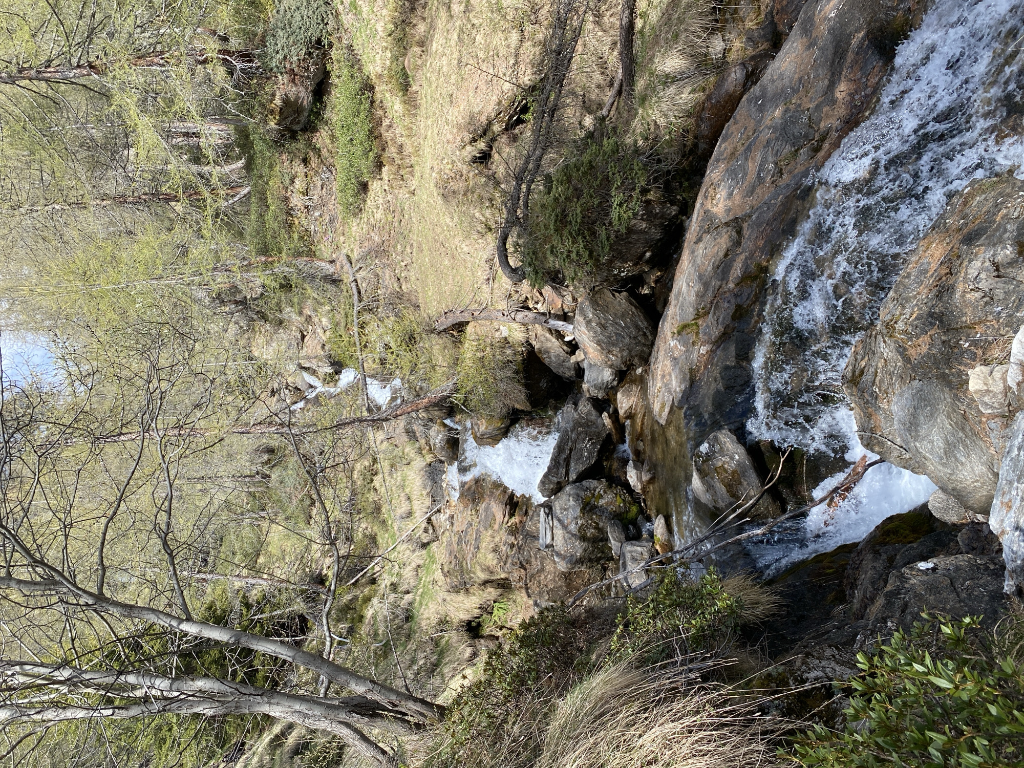 The image depicts a cascading waterfall flowing through a rocky, vegetated landscape. The location is possibly near Baceno, Italy, given the user's prompt. The water rushes down and over large, dark-colored rocks. The surrounding area features light-colored grass and shrubbery, interspersed with bare trees, suggesting early spring. The angle of the shot is slightly tilted. The image shows a natural scene with no visible people or interactions.