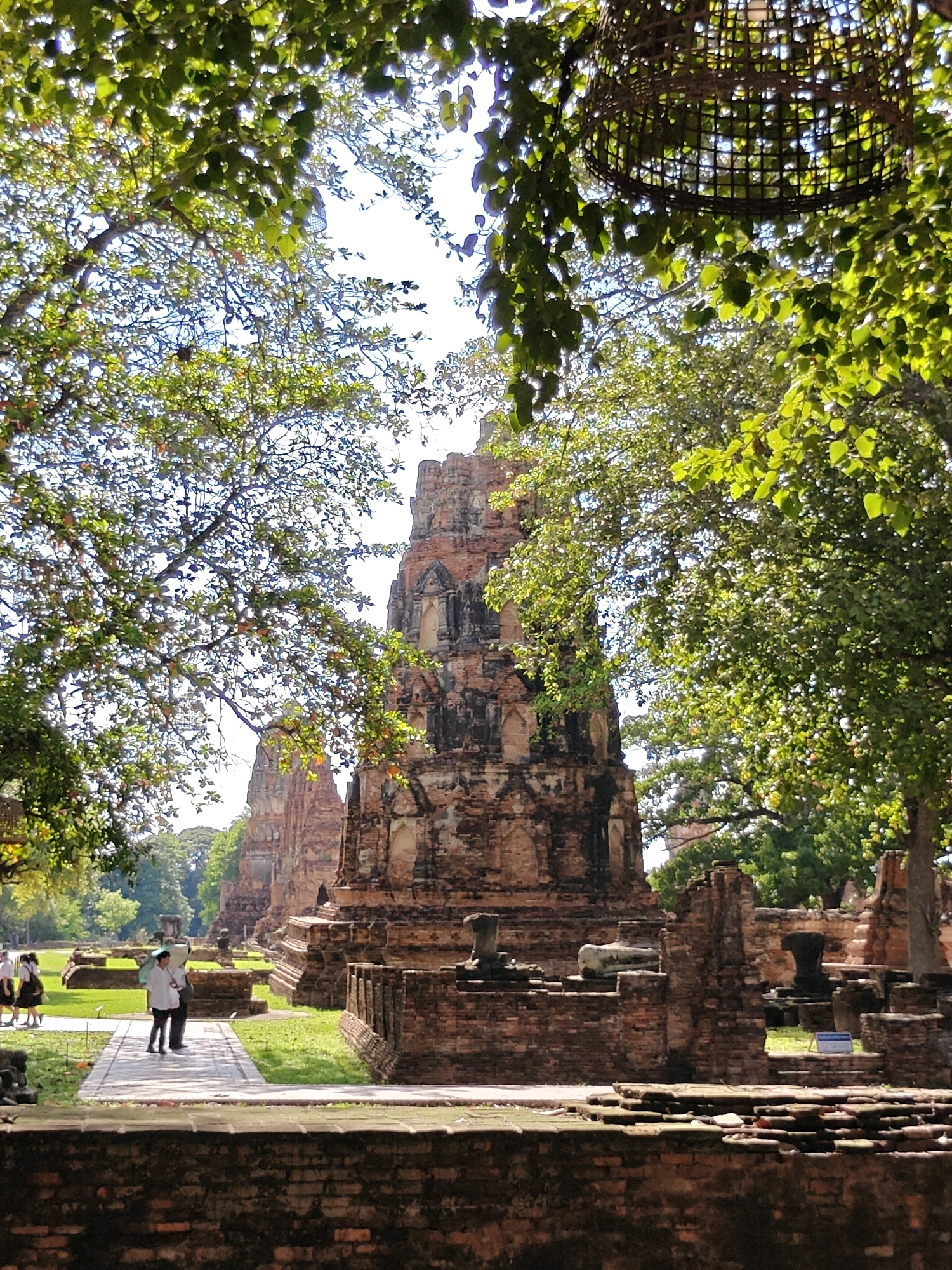 The image depicts the ruins of ancient brick temples in the city of Phra Nakhon Si Ayutthaya, Thailand. In the foreground, lush green foliage from trees partially obscures the view, with sunlight filtering through the leaves. A woven basket-like structure hangs from a tree branch in the upper right corner.
Dominating the mid-ground is a large, weathered brick chedi (stupa), its intricate architectural details visible despite its age and erosion. To the left and further back, other similar ruined structures are visible, suggesting a temple complex. The ground around the ruins is covered in grass, and pathways are visible leading through the site.
In the mid-ground, a group of people are walking along a paved path. One individual, dressed in white, holds a light-colored umbrella, shielding themselves from the sun, and walks alongside another person. Further to the left, two individuals in school uniforms are also present. The overall atmosphere is serene, with the ancient ruins and natural elements creating a sense of historical significance and tranquility.