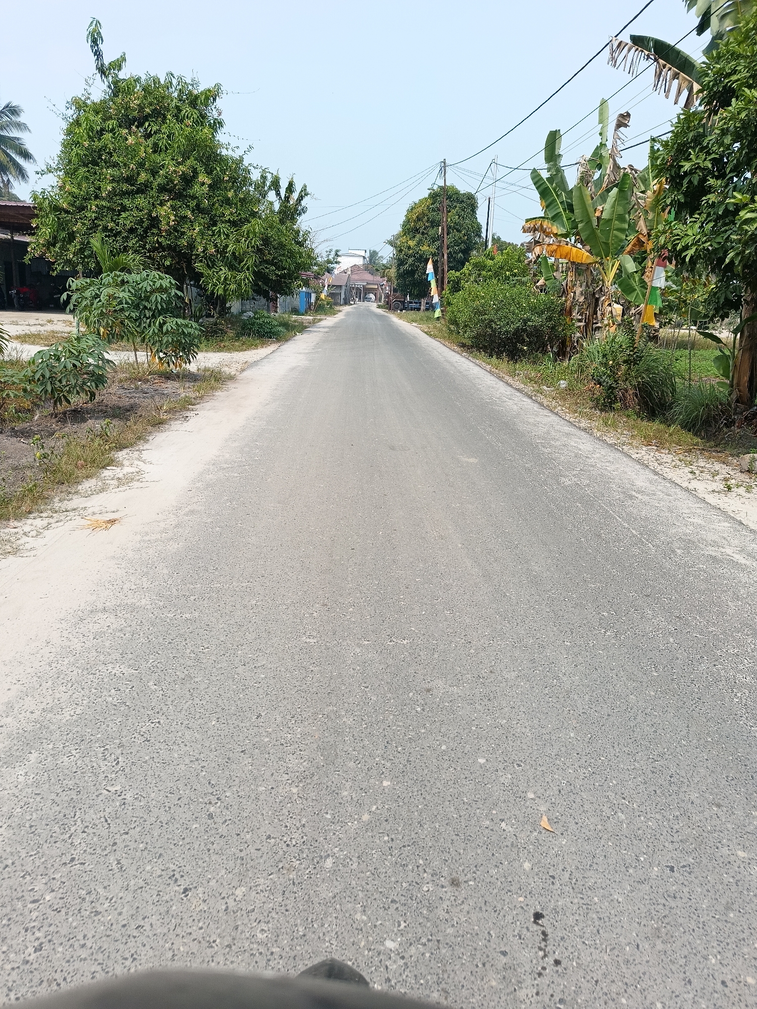 The image depicts an asphalt road in a rural or suburban area of Palangka Raya, Indonesia, under a clear sky. The road is empty and stretches into the distance, flanked by vegetation and buildings. On the left side of the road, there are several trees and some low-lying plants, with what appear to be houses or simple structures in the background, some with what look like motorcycles parked under an overhang. On the right side of the road, there are more trees, including banana trees with broad leaves, and some colorful flags or banners are visible. Further down the road, more houses and trees can be seen. The ground on the sides of the road is a mix of sand and grass. The overall impression is a quiet, sunny day in a tropical setting.