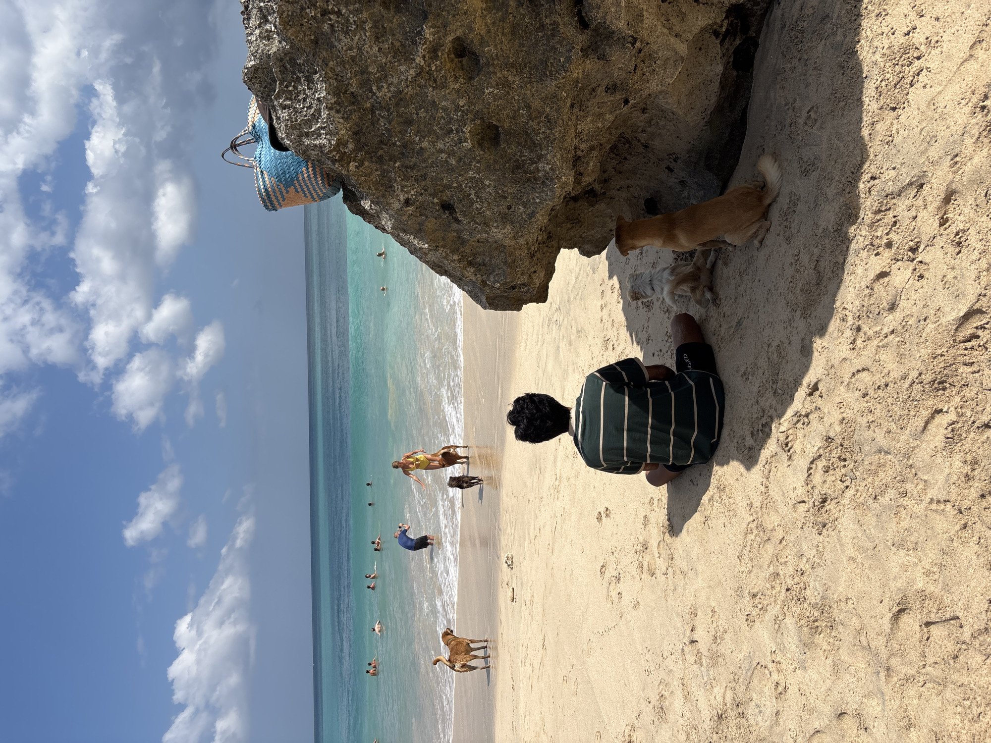 A young man with dark curly hair is sitting cross-legged on a sandy beach, facing away from the camera and towards the ocean. He is wearing a green and white striped t-shirt and dark shorts. Two dogs are sitting to his right, one light-colored and fluffy, the other a tan-colored dog with its tail curled. The beach is made of light tan sand with some footprints. In the background, the turquoise ocean stretches to the horizon under a blue sky with scattered white clouds. Several people are swimming and wading in the water. A woman in a yellow bikini is standing in the shallow water, and a man in a blue shirt is taking a picture of her. Two dogs are near the woman and man. To the right side of the frame, a large, textured rock formation casts a shadow over the sand. A woven blue and tan beach bag rests on top of the rock. The scene is set in Kuta Selatan, Indonesia, a popular tourist destination known for its beaches.