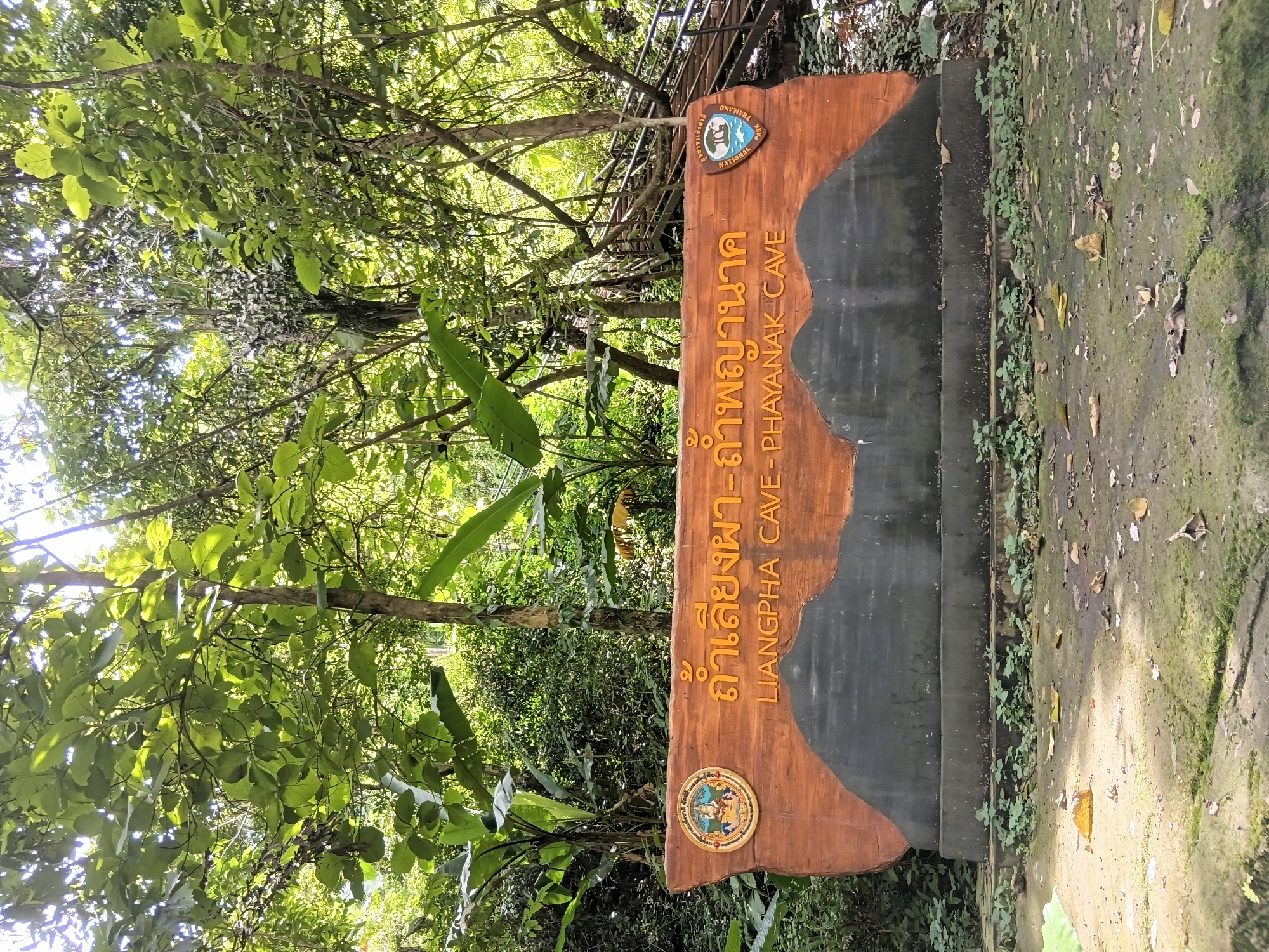 An eye-level, vertical outdoor shot captures a wooden sign in front of a lush, green forest. The sign is carved with the text "ถ้ำเสียงผา - ถ้ำพญานาค" and "LIANGPHA CAVE - PHAYANAK CAVE" in yellow and white respectively. It also features two circular emblems on either side of the text. The sign is situated on a concrete base, surrounded by mossy ground covered in fallen leaves. In the background, a wooden staircase winds up into the dense foliage of trees. The scene is well-lit by sunlight filtering through the leaves. The location is the Liang Pha Cave in Mae Sai District, Thailand.