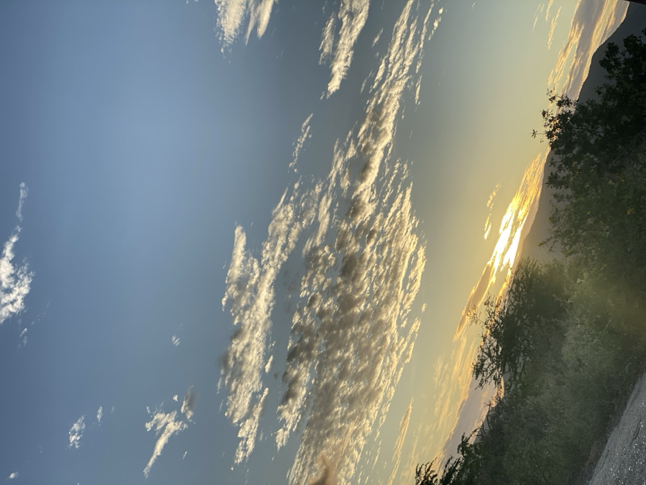 A sky filled with streaks of altocumulus clouds dominates the scene. The left portion of the image features clear, pale blue sky. Towards the right, the clouds thicken, catching the warm glow of the setting sun, creating a soft, golden hue. Silhouetted trees and a mountain are visible in the bottom-right corner, adding a natural boundary to the expanse of the sky. The photograph captures a tranquil, luminous atmosphere.