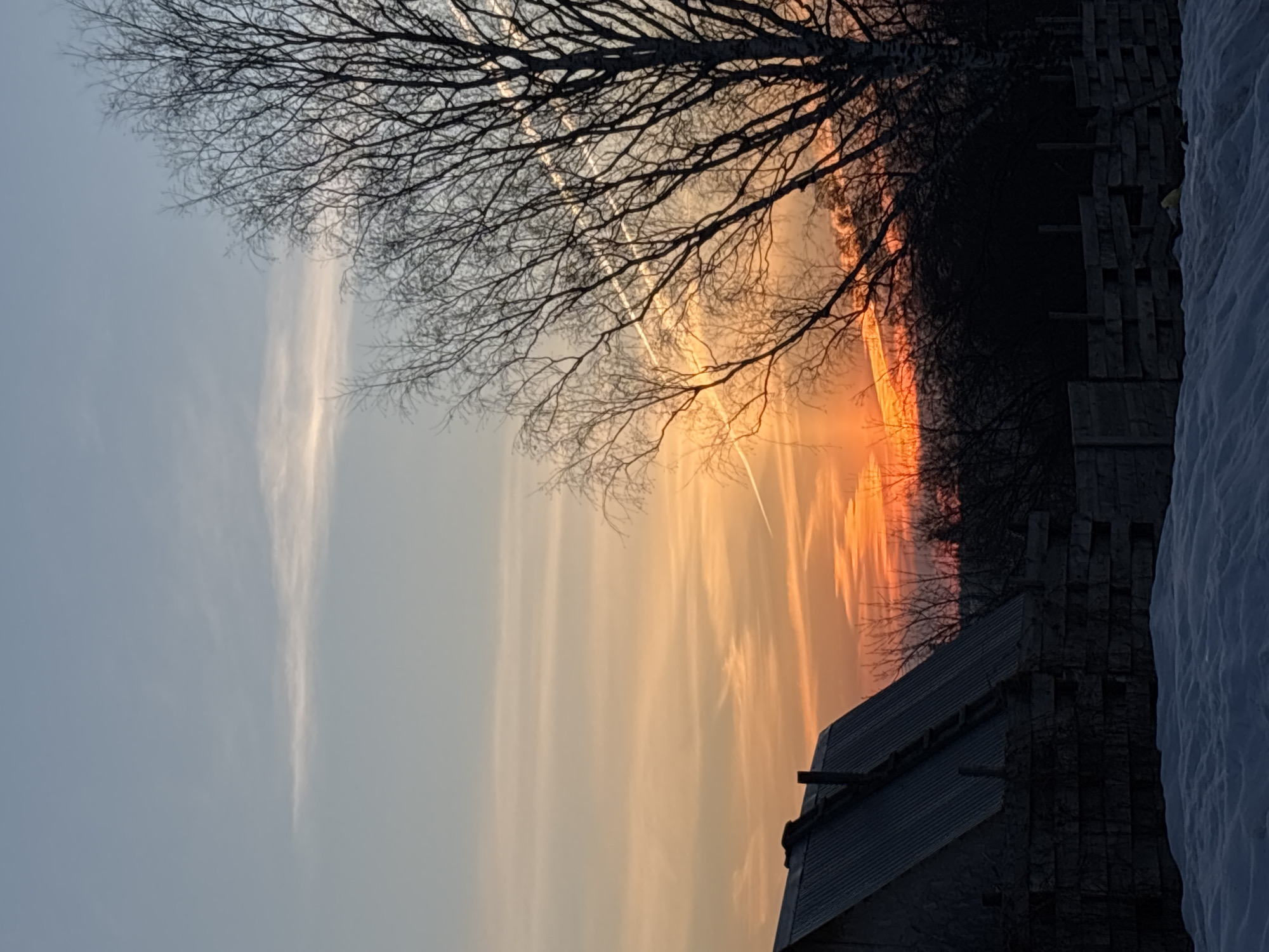 The image captures a sunset scene in Фоки, Russia. Bare tree branches are silhouetted against the sky, with contrails visible in the light orange sky. A building with a dark roof is in the lower right corner. A snow-covered area is visible to the right of the building.