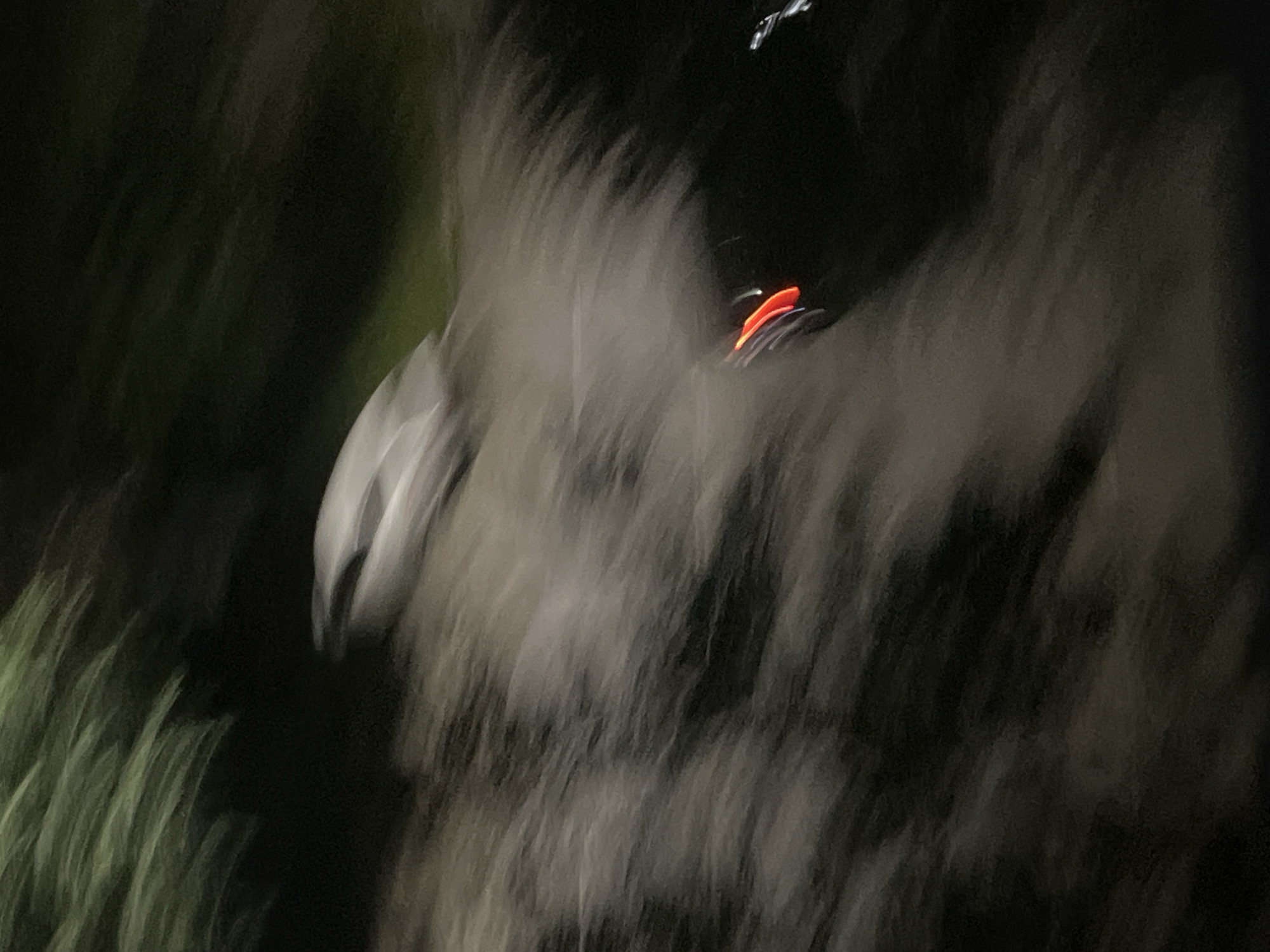 The image is a blurred, abstract photograph taken at night, likely outdoors. The primary subject appears to be a person, possibly wearing a white helmet or hood, seen from the side. There are also streaks of orange and white light, suggesting movement and artificial light sources, such as vehicle lights or fireworks. The background is dark, with some green and gray blurs, possibly indicating foliage or other out-of-focus elements of the environment. The overall impression is one of motion and indistinctness, typical of a long exposure or a fast-moving subject in low light. The location context of Chelyabinsk, Russia, provides a geographic reference but no specific visual cues are readily identifiable within the image itself. No text is visible.