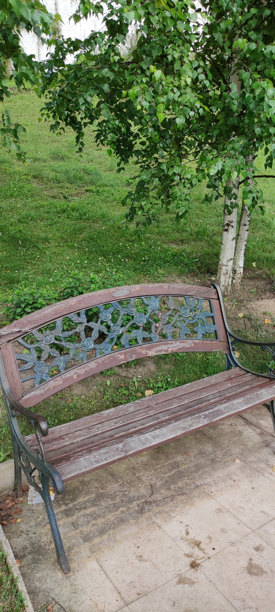 An empty, weathered park bench with a wooden seat and a decorative metal back featuring a floral pattern sits on a paved area beside a grassy lawn. A birch tree with pale, peeling bark stands to the right of the bench, its green leaves forming a canopy over the scene. The background consists of more green grass and some indistinct structures. The lighting suggests an overcast day. There are no people or animals present. The scene appears to be in an outdoor public space.