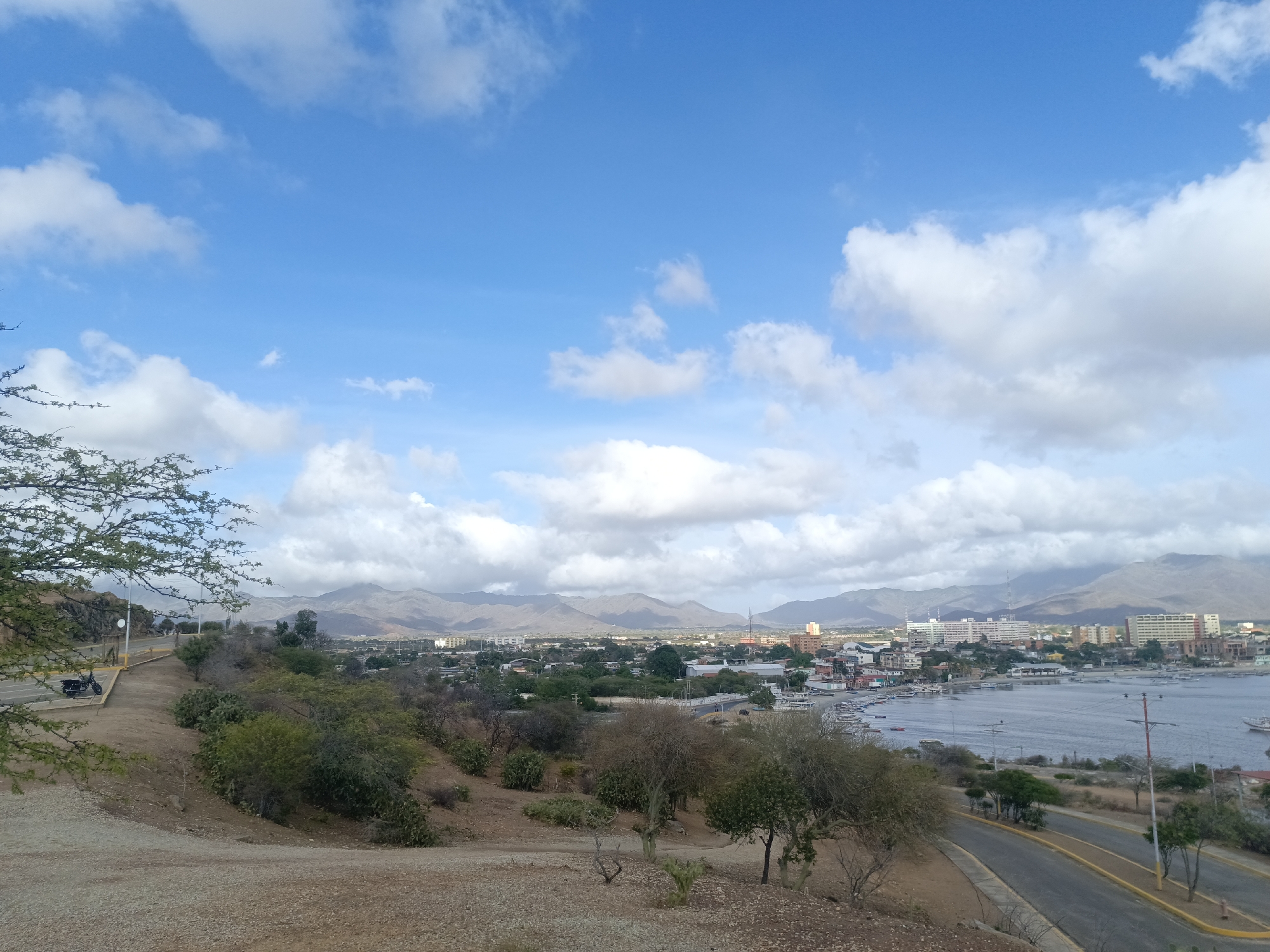 The image captures a scenic overlook of the city of Juan Griego, Venezuela, with a focus on the harbor and cityscape against a backdrop of distant mountains. The sky is bright blue with scattered clouds.
In the foreground is a downward sloping area of dry dirt and sparse vegetation, including trees with bare branches. A road winds alongside the edge of this area, marked with double yellow lines.
The harbor is visible in the middle ground, filled with boats. The city extends inland, with a mix of buildings of varying heights and densities. In the distance, a range of mountains is visible.