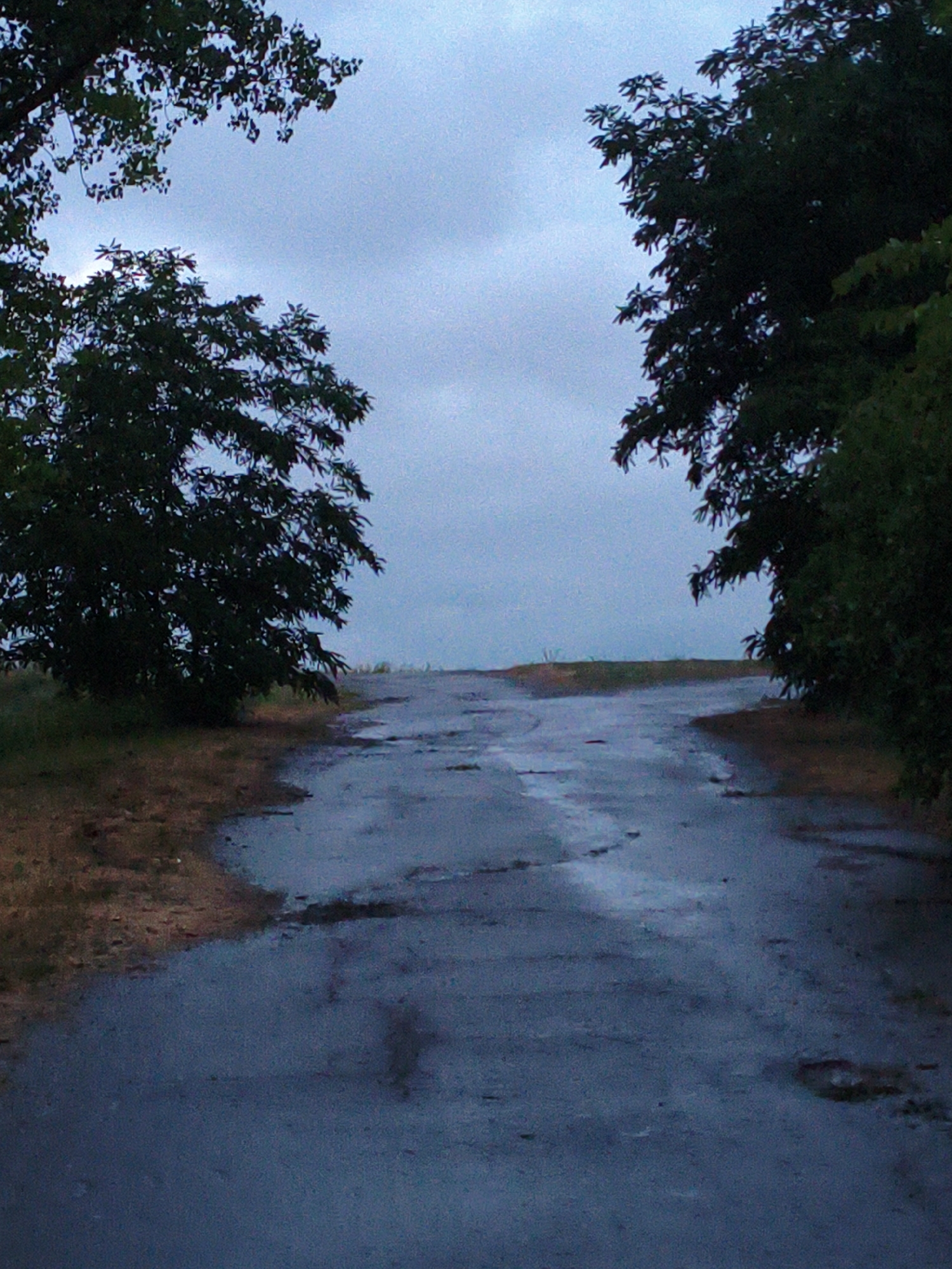 The image shows a wet, dark asphalt road in the city of Ustyvytsia, Ukraine. The road is partially obscured by trees on either side and reflects the overcast sky. There are no people or vehicles visible in the image. The overall scene suggests a somber and damp atmosphere.
