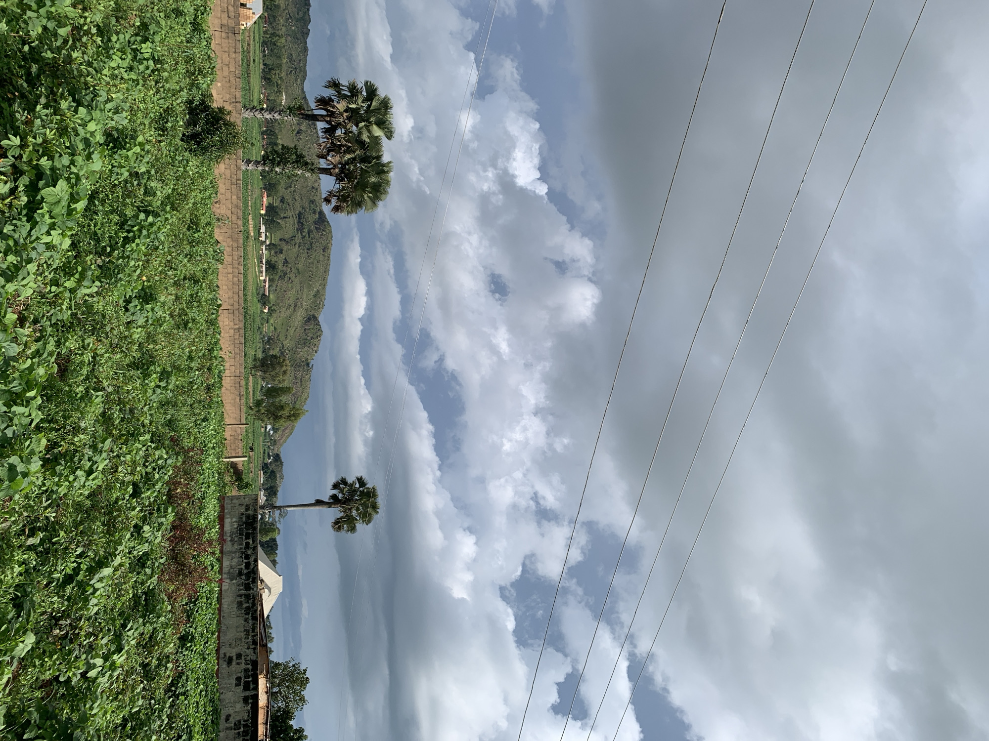 A landscape photograph taken in Kuru Karama, Nigeria, under a cloudy sky. The image features a foreground of dense green vegetation, potentially a field of crops, bordered by a low, tan brick wall. Behind the wall, a few scattered buildings and trees are visible, including a cluster of palm trees on the left and a single, tall palm tree on the right. In the background, rolling hills are covered in green vegetation, with more buildings dotting the landscape. Power lines stretch horizontally across the upper portion of the frame. The lighting suggests an overcast day, possibly before or after rain, with dramatic cloud formations. There are no people or animals depicted in the scene.