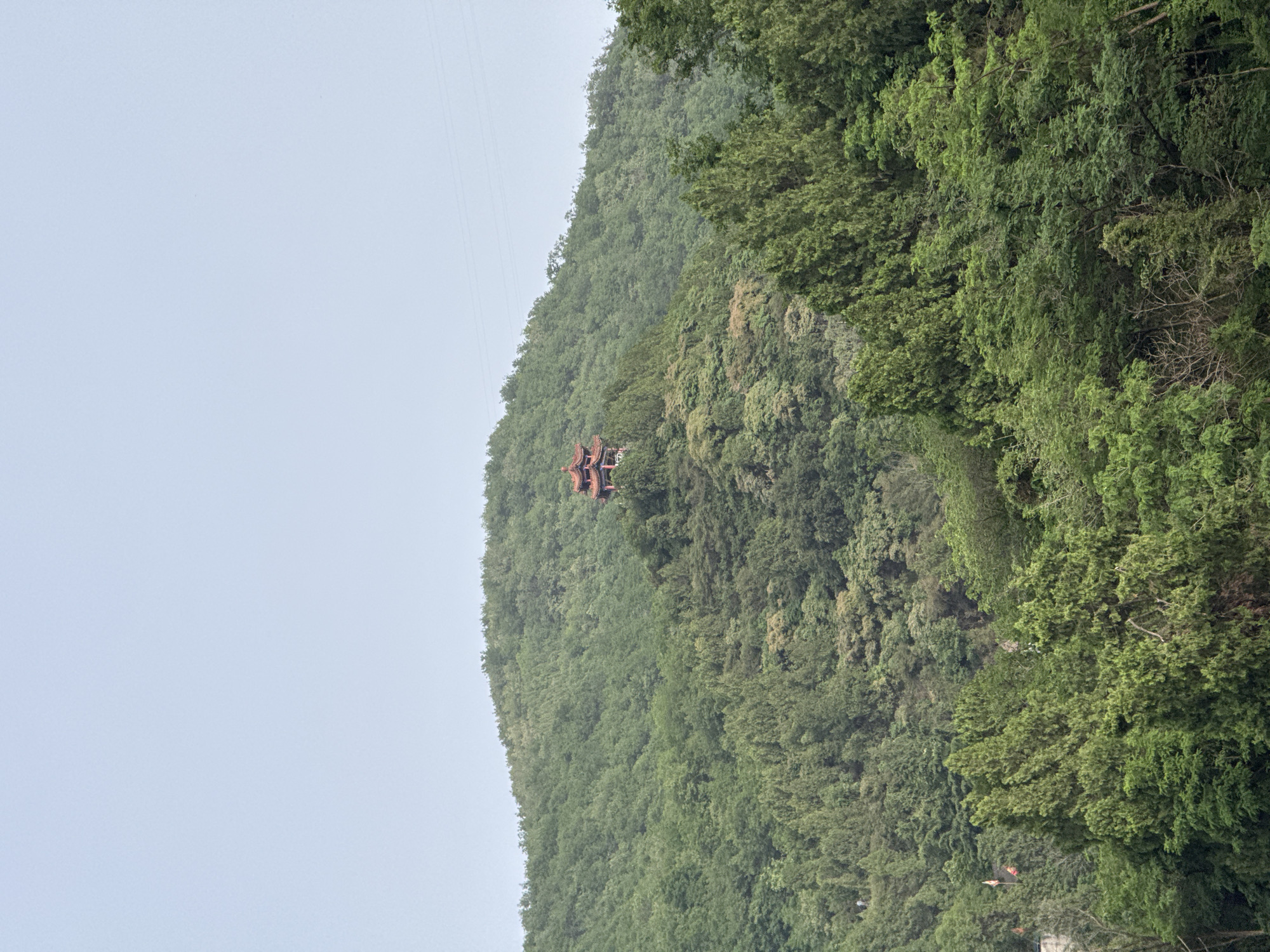 The image shows a hillside covered in lush green trees. Near the top of the hill is a building in the traditional Chinese style, with multiple tiers and a red roof. Power lines are visible above the building. The scene appears to be taken on a cloudy day. The image is likely from the Lintong District, China, given the architectural style of the building and the landscape.