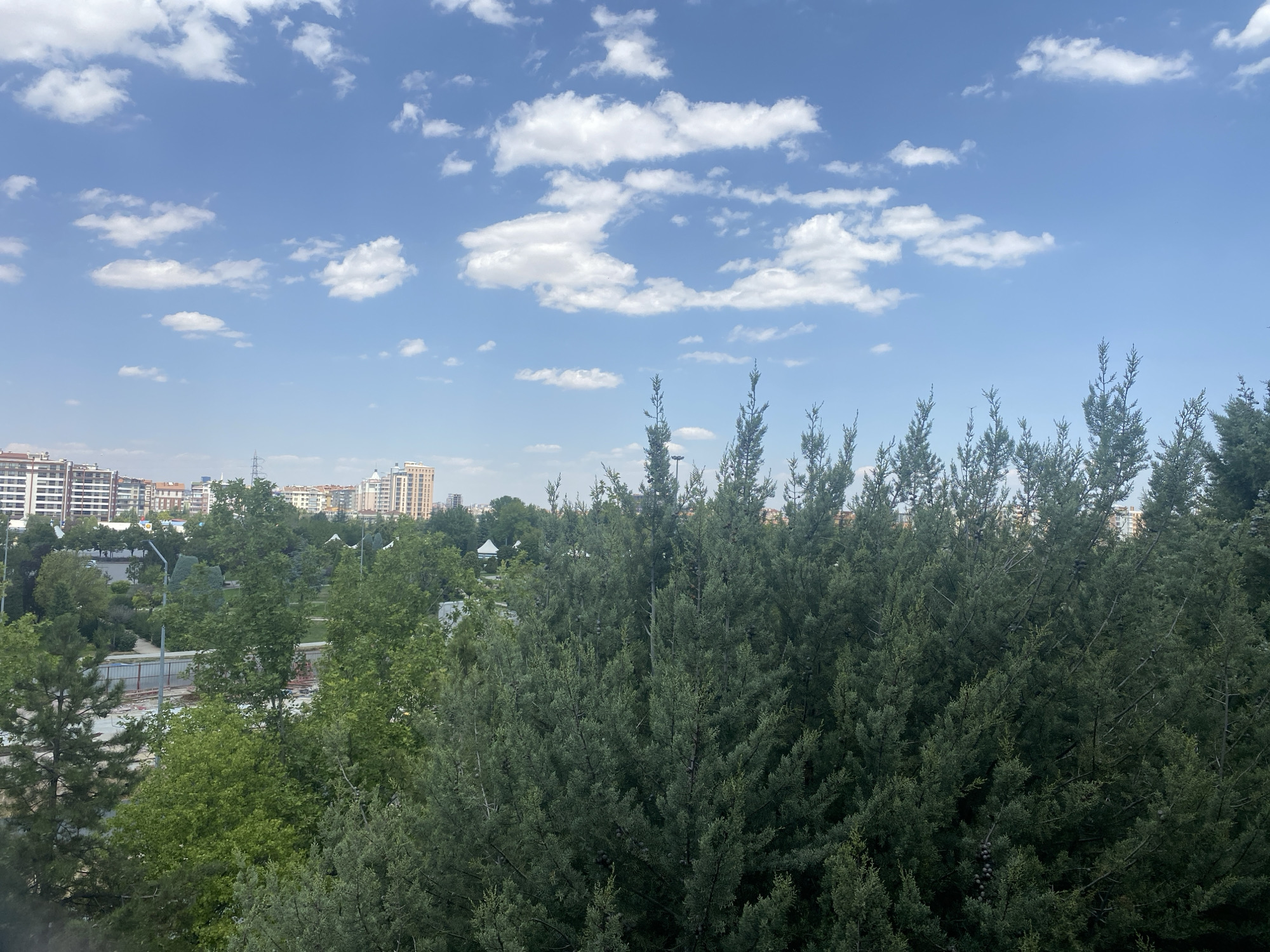 The image depicts a city skyline with a foreground dominated by dense coniferous trees. In the background, various buildings of differing heights and architectural styles, characteristic of urban development, are visible under a bright blue sky dotted with fluffy white clouds. The trees in the foreground are lush and green, with some appearing to be Juniper trees, identified by their bushy foliage and small, dark cones. The lighting suggests it is daytime, likely late morning or early afternoon, with the sun casting shadows. The scene appears to be an urban park or a residential area with significant green spaces bordering the city. The specific location is within the city of Konya, Turkey, a region known for its blend of historical significance and modern urban expansion, often featuring a mix of low-rise and high-rise residential and commercial buildings, interspersed with parks and tree-lined avenues.