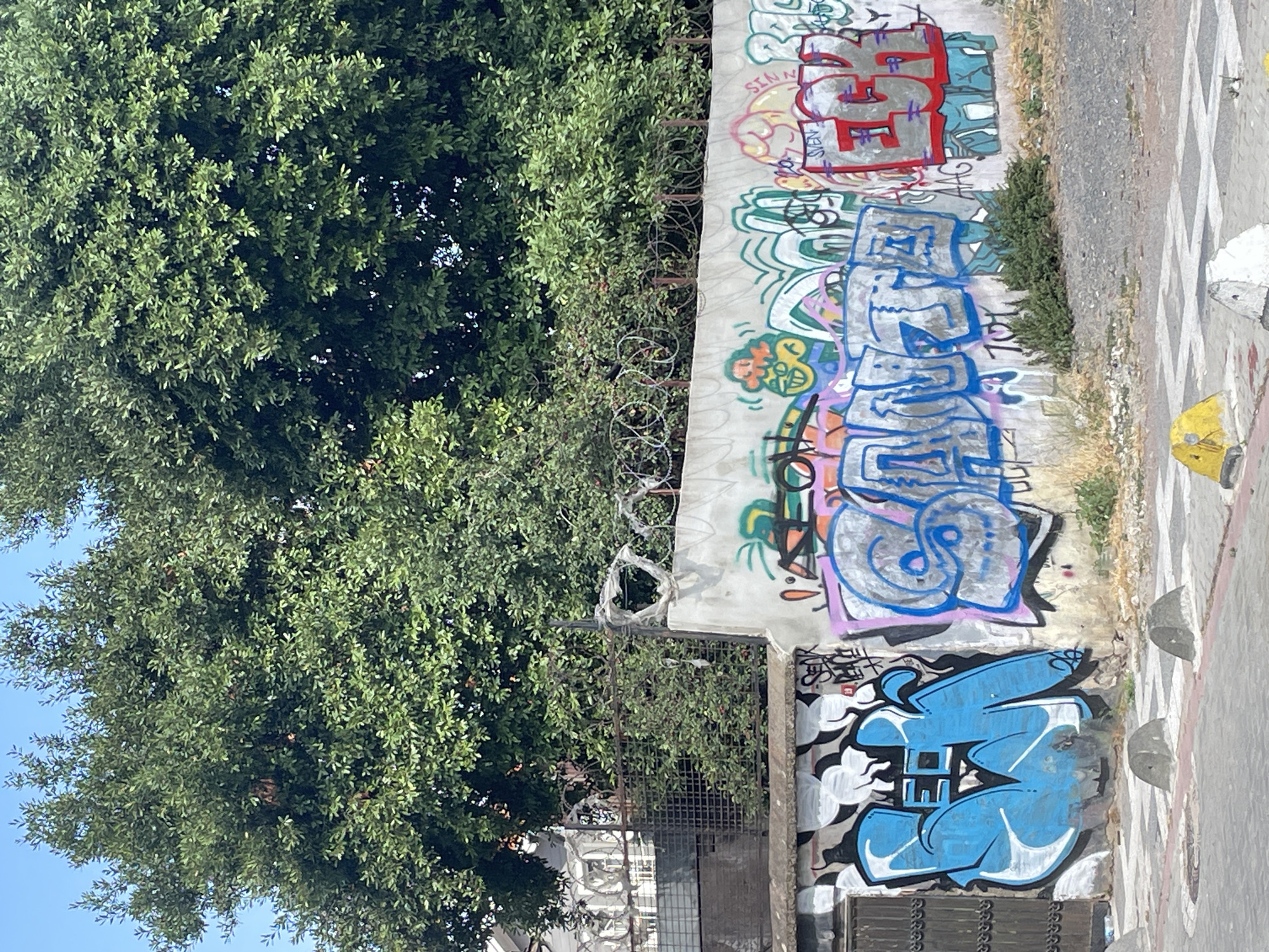 The image depicts a section of a concrete wall covered in graffiti, situated in Kadıköy, Turkey. A large, leafy green tree dominates the upper portion of the frame, casting shadows on the wall below. The wall itself is adorned with various spray-painted tags and designs in a range of colors including blue, silver, red, pink, and yellow. Some of the graffiti appears to be stylized lettering, while other sections are more abstract. A metal fence with barbed wire runs along the top of the wall. In the foreground, a paved area with concrete bollards and yellow and white markers is visible. The overall scene suggests an urban environment that has been subject to graffiti art.