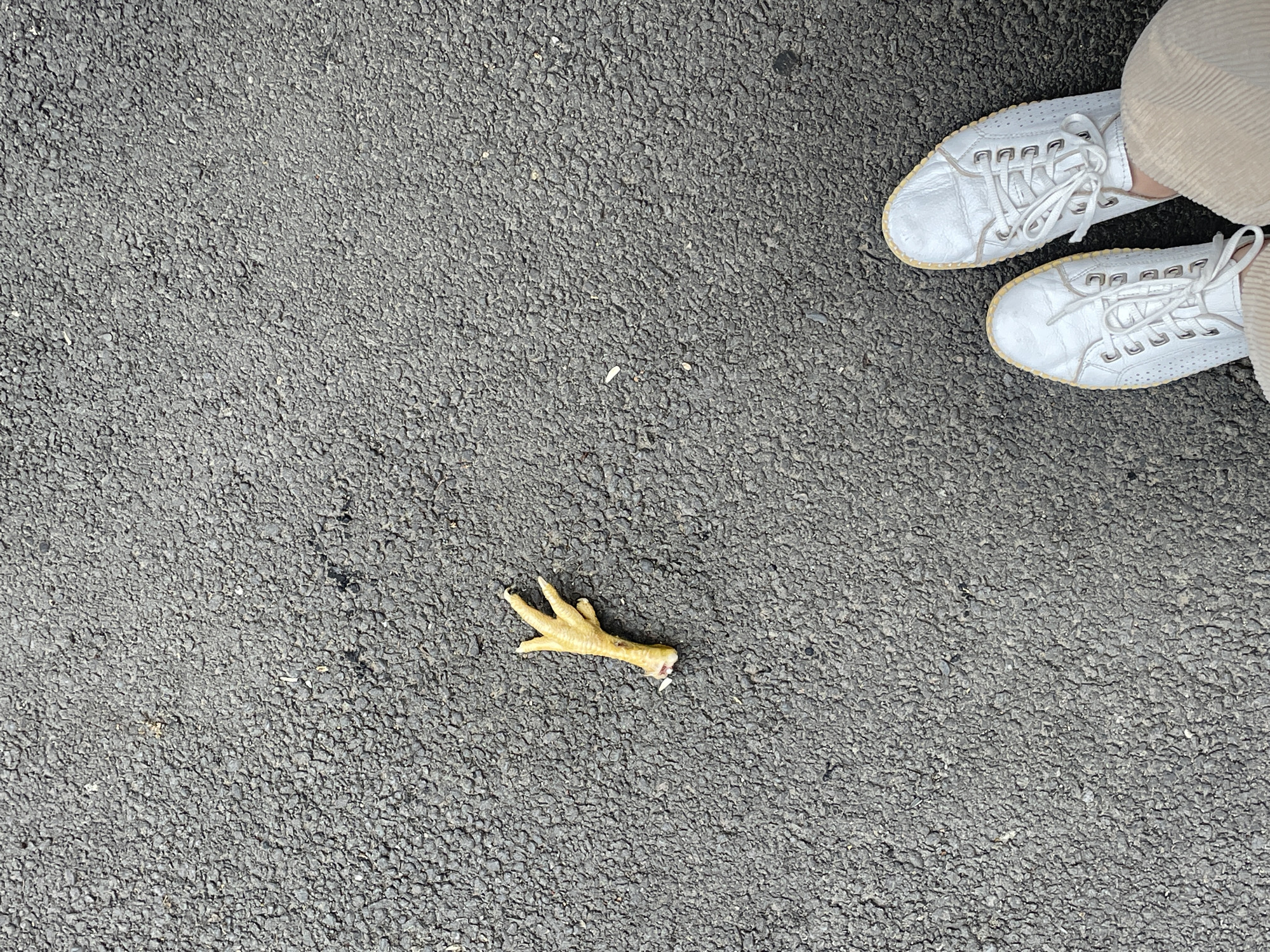 The image shows a paved asphalt surface with a chicken foot lying near the center of the frame. To the upper right, a pair of white sneakers are visible, along with a portion of a beige trouser leg. The asphalt is textured with small stones and appears to be a street or walkway. The location is Tbilisi, Georgia.