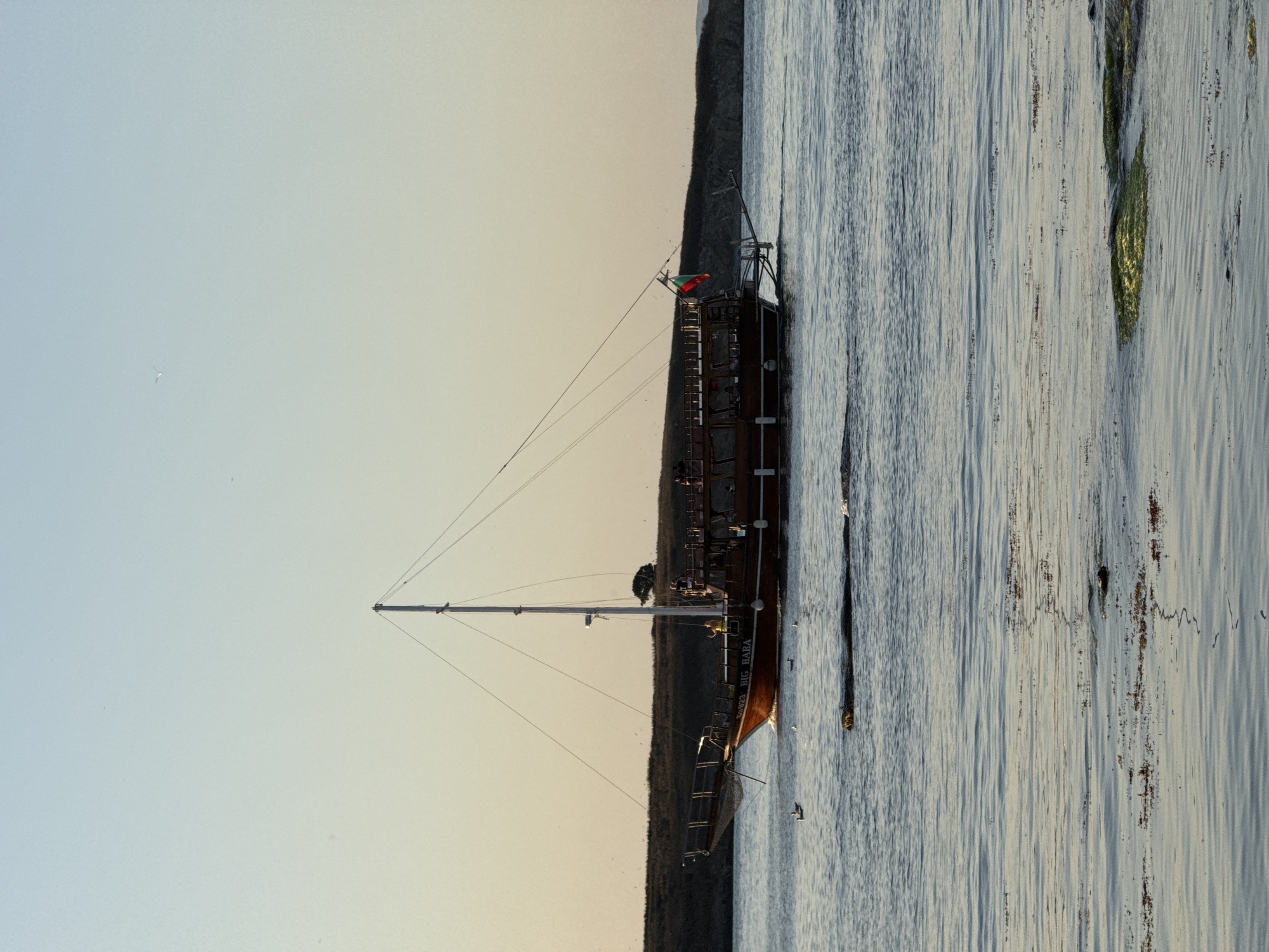 The image depicts a wooden tourist boat, identified by the text "BIG BABA" on its hull, sailing on the sea near Sozopol, Bulgaria. The boat is a two-masted vessel with a dark red hull and a white superstructure. Several people are visible on the deck of the boat. A Bulgarian flag is flying from the stern. The sea is calm with gentle ripples and some floating seaweed. In the background, a low, grassy coastline is visible, with a single tree standing out on a small hill. The sky is clear and light blue, transitioning to a warm orange hue near the horizon, indicating either sunrise or sunset. Several seagulls are present in the air and on the water. The overall scene suggests a peaceful maritime activity in the coastal waters of Sozopol.