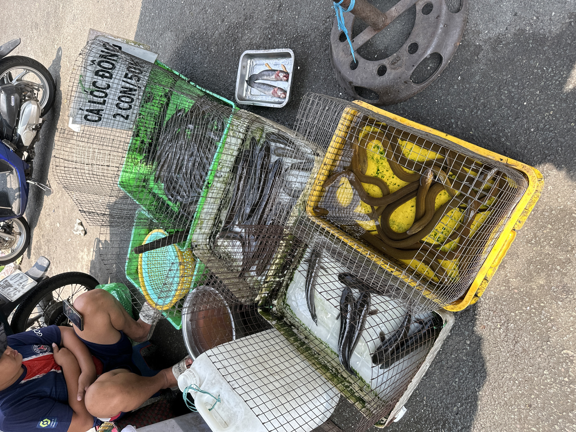 The image captures a scene in Ho Chi Minh City, Vietnam, showing a street vendor selling live fish. The vendor, a man wearing a blue PSG soccer jersey and shorts, is sitting beside a motorbike. Several wire baskets and plastic containers hold live fish, likely for sale. One basket has a label reading "Ca Loc Dong 2 Con/50k". There is also a metal tray with two dead fish. The ground is asphalt. The lighting suggests it's daytime.