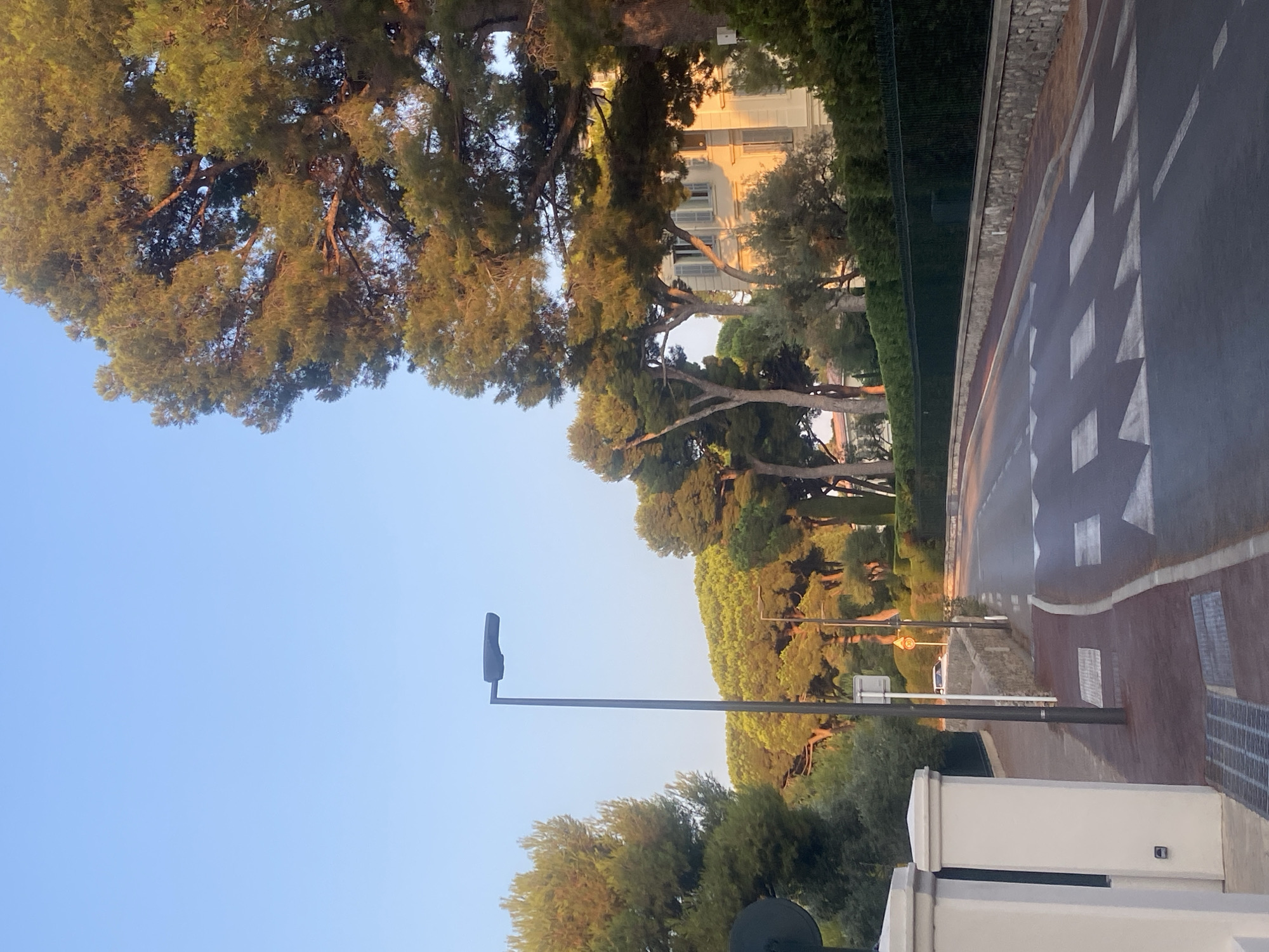 A road curves to the right, lined with trees and a pedestrian crosswalk. A lamppost stands on the left side of the road. A white building with windows is visible in the background. The sky is clear and blue. The scene appears to be a street in Antibes, France, likely in the morning or late afternoon due to the lighting.