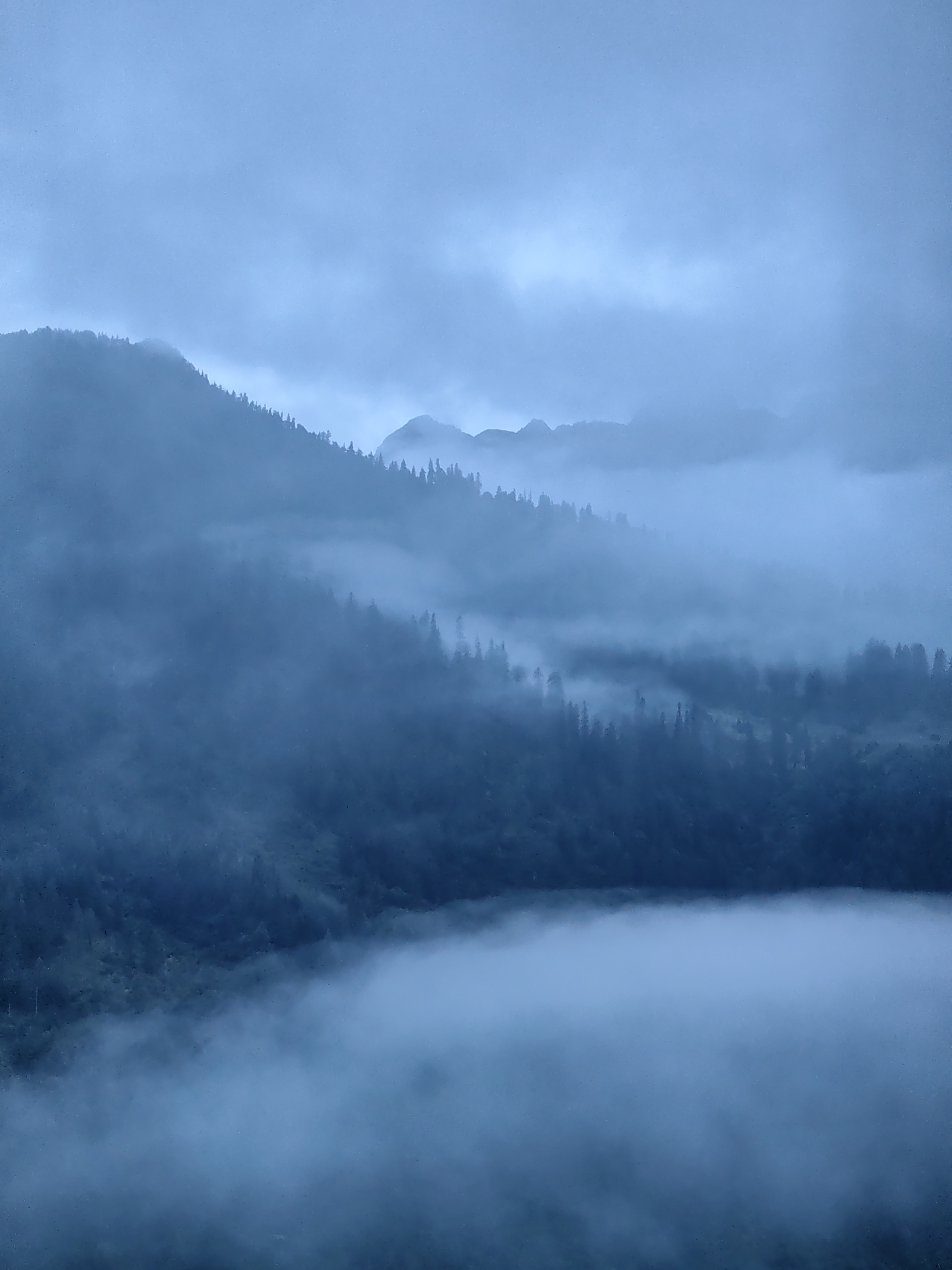 The image shows a mountain landscape enveloped in a dense fog. Tall, dark green coniferous trees cover the slopes of the mountains, their outlines softened by the atmospheric conditions. In the foreground, a thick layer of white fog obscures the lower parts of the mountains and a body of water, creating a serene and somewhat mysterious atmosphere. The sky is overcast and a muted blue, further contributing to the diffused light and overall moody ambiance. The scene is likely in a mountainous region, possibly in or around Vashisht, India, a town known for its natural beauty and spiritual significance, often shrouded in mist. No people or specific structures are visible in the image, emphasizing the raw, natural elements of the landscape.