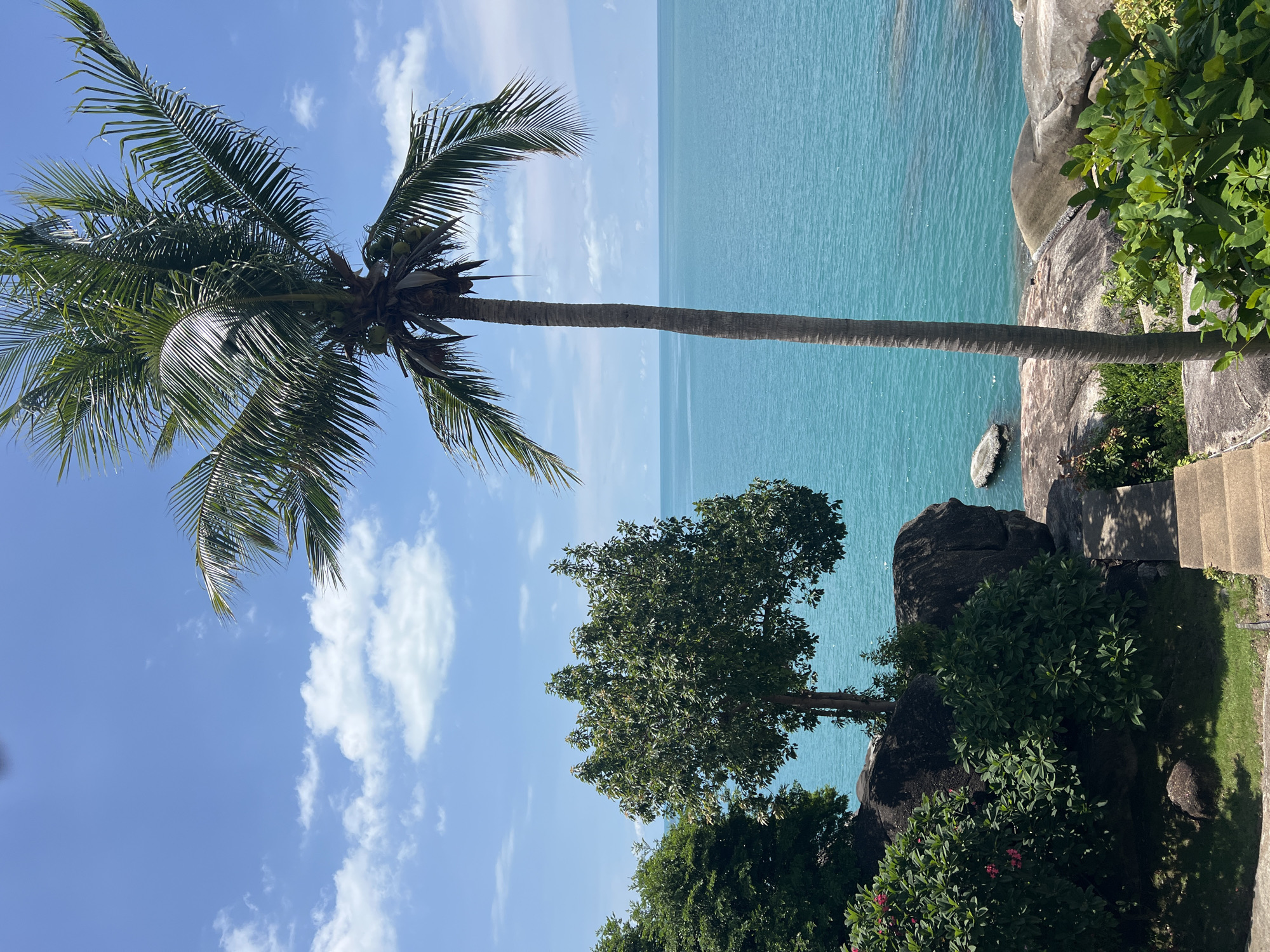The image depicts a tropical coastal scene with a clear blue sky and turquoise ocean. In the foreground, a tall palm tree stands to the right, its fronds reaching towards the sky. To the left, a lush green tree with dark foliage is situated amongst large, dark rocks. Below the trees, a stone pathway with steps leads down towards the water. The sea is calm, with a few scattered rocks visible near the shore. The overall impression is of a serene, natural landscape in a tropical setting, likely a beach resort area such as Baan Chaweng Noi, Thailand. There are no people or animals visible in the image.