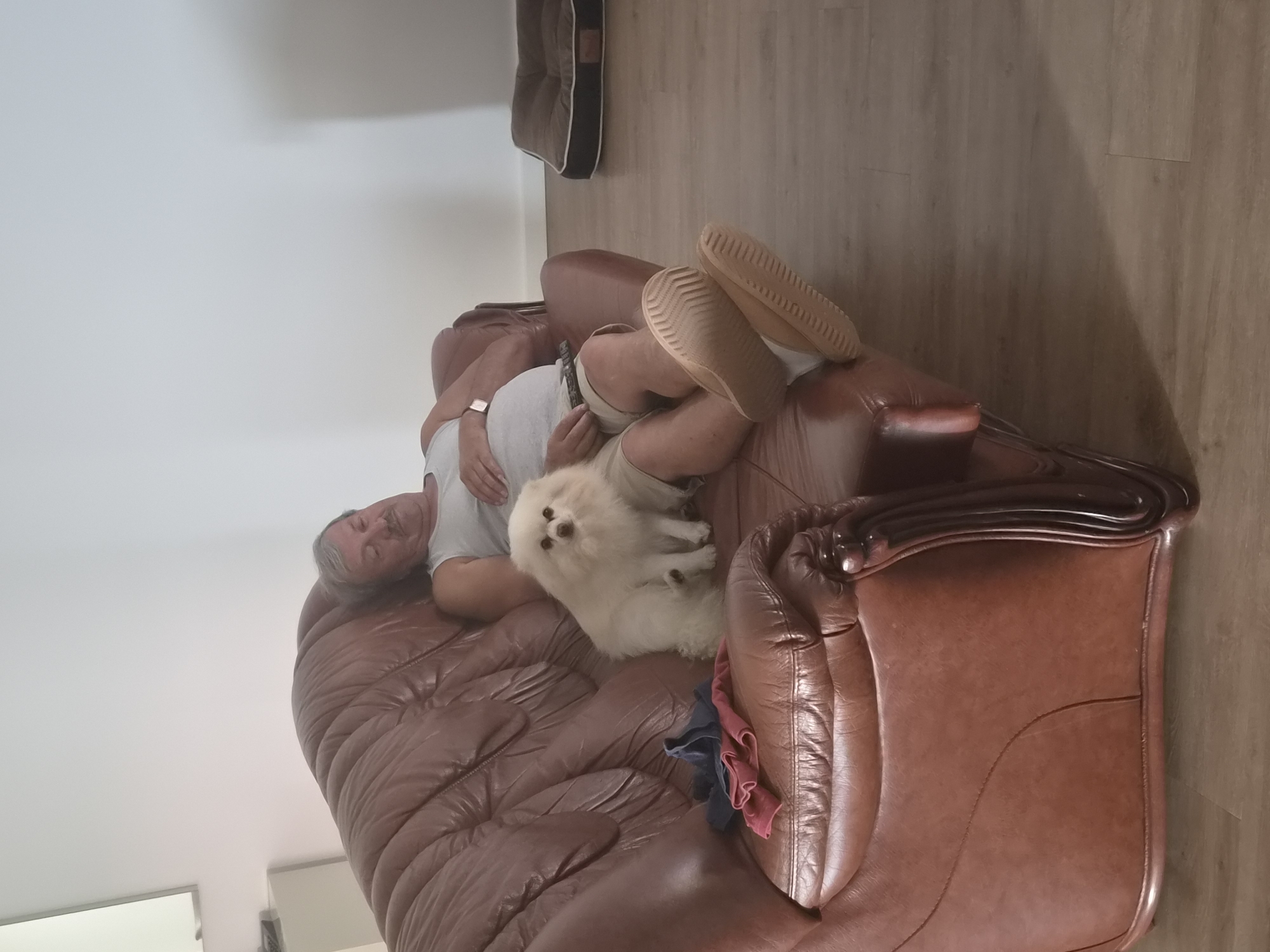 A middle-aged Caucasian male with graying hair and a mustache is reclining on a brown leather couch, appearing to be asleep or resting. He is wearing a gray tank top and tan shorts, with tan slip-on shoes and white socks. A small, fluffy white Pomeranian dog is sitting on the couch next to him, looking directly at the camera. In the foreground on the couch, there are folded clothes, one appearing to be a dark blue shirt and the other a pinkish-red garment. The couch has a tufted backrest and ornate wooden armrests. The room has light-colored walls and a wooden floor. In the background, to the right, a dog bed is visible on the floor. The scene appears to be indoors in a residential setting. The image does not contain information about its location in Barcelos, Portugal.