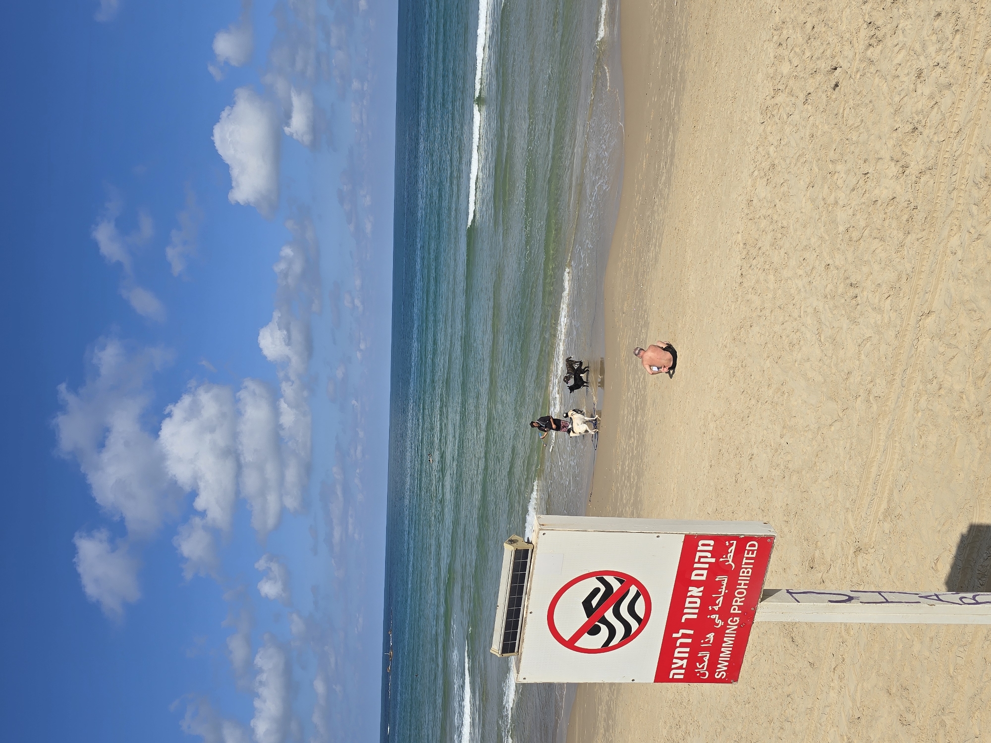 A beach scene in Tel Aviv, Israel, is captured on a sunny day with a blue sky dotted with puffy white clouds. The image is oriented with the sky and clouds on the left, and the sandy beach occupying the right side. The Mediterranean Sea stretches in between the beach and the sky, displaying greenish-blue water with gentle waves.
In the foreground, a sign stands prominently, indicating "Swimming Prohibited" in both Hebrew and English, marked by a red circle with a line through it, depicting wavy water with a hand swimming. Adjacent to the sign, two individuals are interacting with several dogs at the edge of the water. Further down the beach, a lone man lies prone on the sand.
The beach is covered in light-colored sand, and the overall atmosphere suggests a warm and pleasant day at the seaside despite the prohibition of swimming.