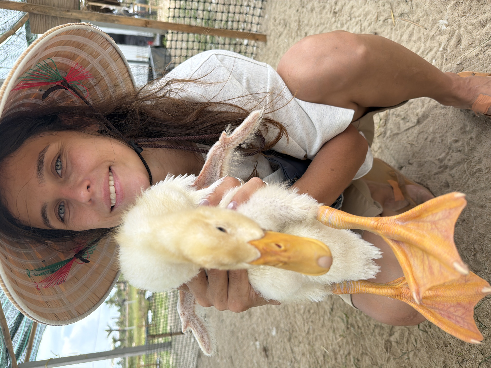 In Hoi An, Vietnam, a young woman wearing a conical hat crouches on sandy ground, holding a fluffy white duckling. The duckling, with its bright orange feet and beak, is held gently against the woman's chest. She is smiling at the camera, her eyes a striking blue. The background suggests an outdoor setting, possibly a farm or rural area, with a wooden fence and some vegetation visible. The scene is illuminated by natural daylight.