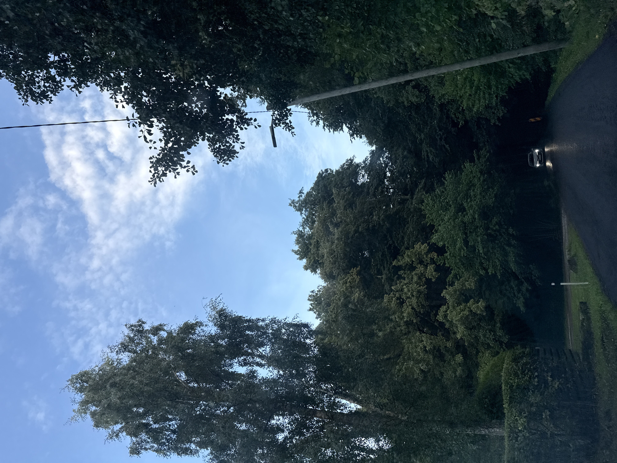 The image depicts a tree-lined road with a car driving away from the viewer. The car's headlights illuminate the dark asphalt road. The sky is a pale blue with scattered clouds. A tall, thin tree stands on the left side of the road, and dense foliage lines both sides of the road. A utility pole with a street lamp is visible on the right side of the image. The overall impression is one of a rural or suburban road on a cloudy day. No specific landmarks or details suggest the location is in Tallinn, Estonia.
