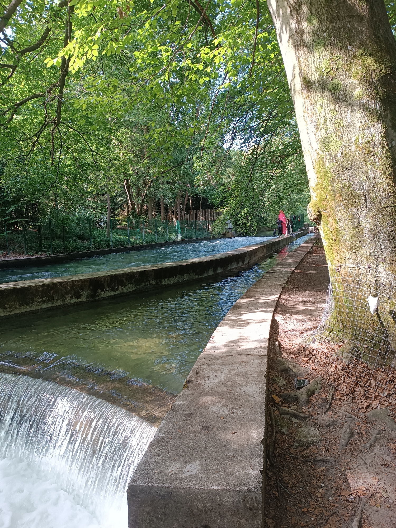 The image depicts a man-made waterway flowing through a wooded area. The waterway is lined with concrete channels, and in the foreground, a small waterfall cascades over a concrete edge. Lush green trees with dappled sunlight filtering through their leaves form a canopy overhead, creating a shaded and serene atmosphere. A pathway runs alongside the waterway, separated by a concrete barrier. In the distance, two individuals are visible walking along the pathway, one wearing a bright pink jacket and the other in dark clothing. The scene appears to be part of an outdoor recreational area, possibly a park or a natural reserve. The waterway and surrounding landscape suggest a well-maintained urban or semi-urban environment. Considering the context of Munich, Germany, this location could be the Isar River or one of its artificial channels within the city, such as those found in the Flaucher area or near the Olympiapark.