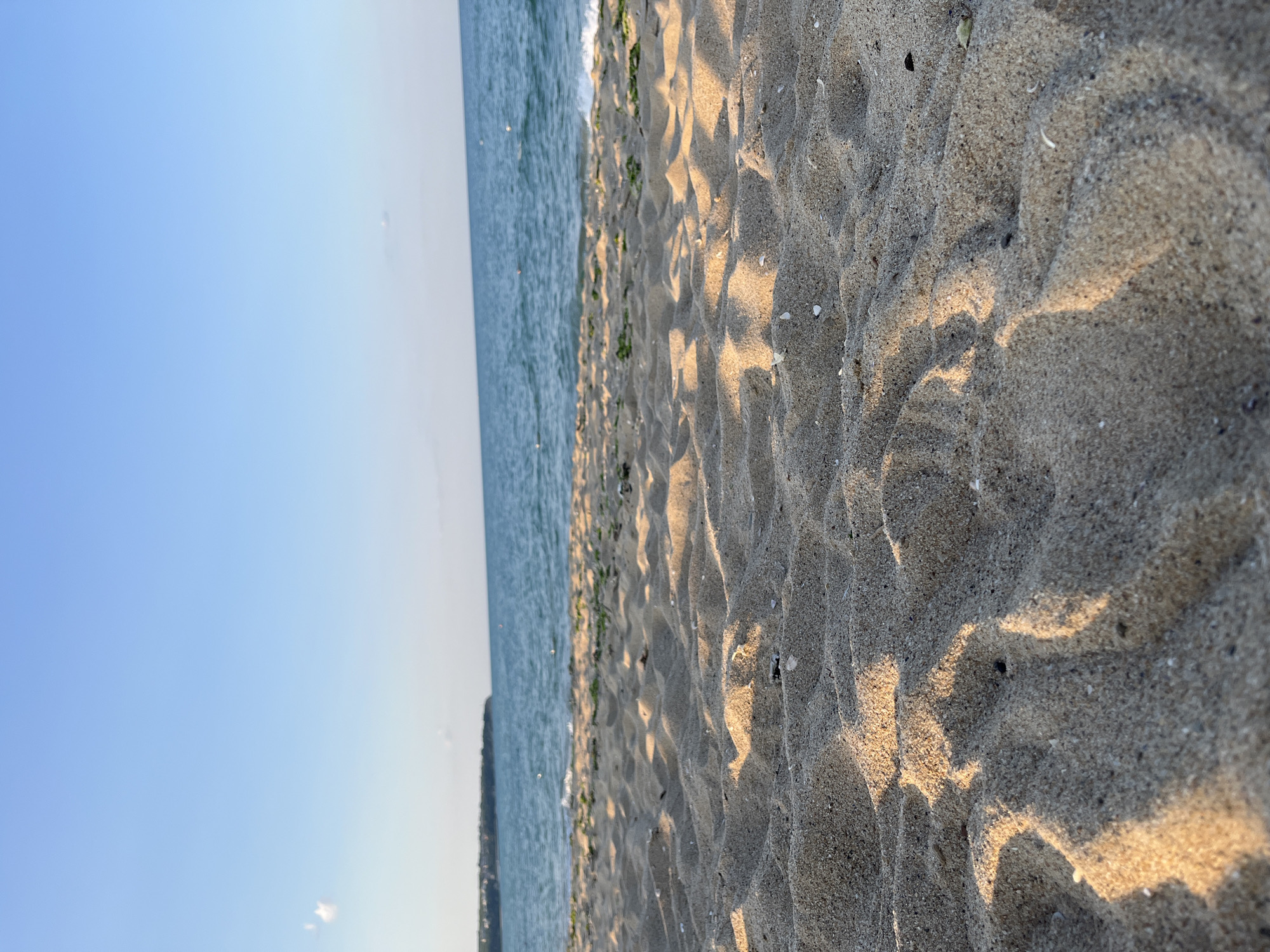 The image depicts a close-up view of a sandy beach with the sea and sky in the background. The sand occupies the right half of the frame, showing ripples and textures created by wind or water. Small white shells are scattered on the sand. Golden sunlight casts shadows across the sand, suggesting it is either early morning or late afternoon.
To the left of the sand is the sea, which appears calm with small waves lapping at the shore. A thin line of green vegetation is visible along the edge of the water and sand. Beyond the sea, the sky is a clear, pale blue, with a faint horizon line visible in the distance. The orientation of the image is vertical.
The scene evokes a peaceful and serene atmosphere, typical of a beach at a quiet time of day. The location is identified as Obzor, Bulgaria. No people or specific objects are prominently featured, the focus being on the natural elements of the beach. No text is visible in the image.