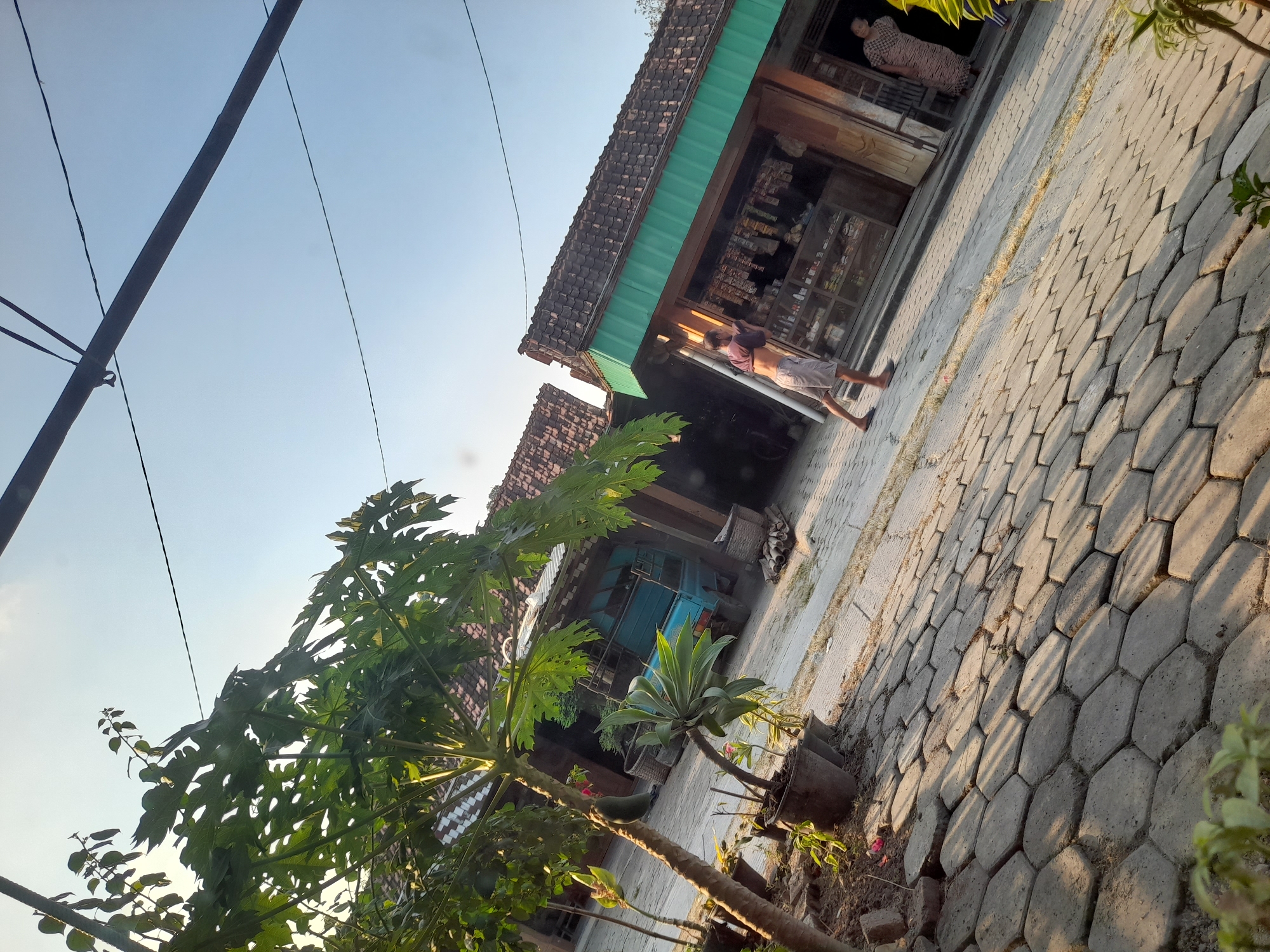 In Pulokulon, Indonesia, an outdoor scene is captured with a street paved with hexagonal concrete blocks. To the left, a papaya tree with large, green leaves stands in pots. Behind it, a blue pickup truck is parked near a building with a tiled roof. To the right, a shop with a green awning displays various items on shelves within its open storefront. A man in shorts and a t-shirt is leaning against the shop counter. Further to the right, a woman in a patterned dress stands in a doorway. The sky above is clear blue with visible power lines.