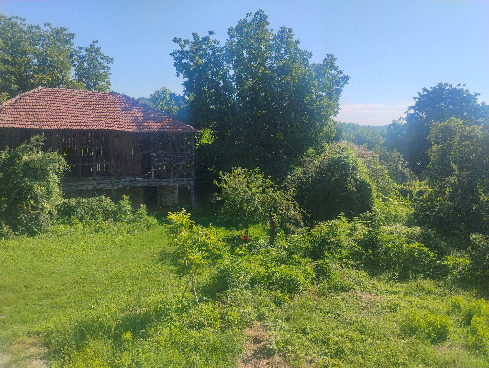An outdoor, wide-angle, eye-level, daytime shot depicts a rustic, abandoned building with a red-tiled roof, surrounded by lush green vegetation under a clear blue sky in the city of Rumyantsevo, Bulgaria. The building, possibly a barn or shed, is constructed with wooden planks and appears to be weathered and in disrepair, with visible structural supports and an open-front design. Dense foliage and trees dominate the landscape, creating a natural and somewhat overgrown setting. The foreground features a grassy area with scattered smaller trees and bushes, leading towards the building. The background shows more trees and rolling hills, suggesting a rural or semi-rural environment. No people are present in the scene.