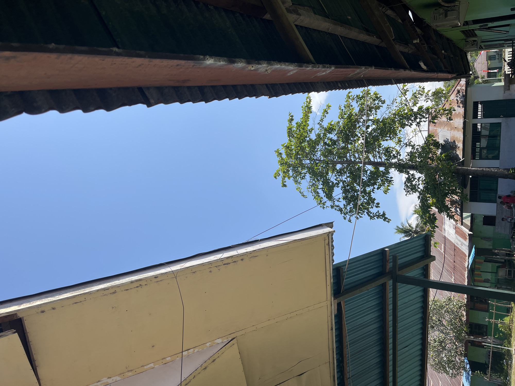 The image captures a view looking upwards from a street-level perspective in Sanana, Indonesia. The foreground is dominated by the overhangs of two adjacent buildings, creating a framing effect. On the left, a pale yellow awning extends, supported by a green corrugated metal roof beneath it, with visible wooden beams. On the right, a reddish-brown, weathered structure with a dark, corrugated roof overhangs, showing exposed wooden rafters.
Between these structures, a tall, leafy green tree stands prominently against a clear, bright blue sky. In the background, several buildings with corrugated metal roofs in various states of rust and repair are visible. These buildings appear to be residential or perhaps part of a school complex, with green walls and dark windows. Two small figures, possibly children, are present near the central tree, one wearing a red shirt and the other a dark shirt. One of the buildings has a white facade with green trim. A flag, possibly the Indonesian flag due to its red and white colors, is visible on a flagpole in the distance. The overall scene suggests a sunny day in a tropical environment.