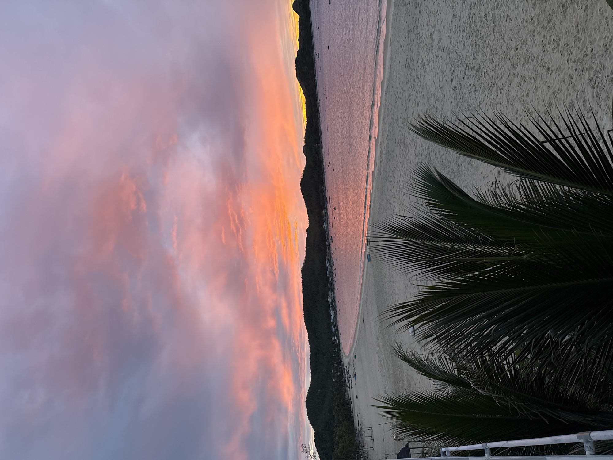 The image captures a serene sunset over a beach in Song Cau, Vietnam. The sky is ablaze with vibrant hues of pink and orange, creating a dramatic backdrop. Below the sky, a crescent-shaped bay is visible, with gentle waves lapping at the sandy shore. Lush green hills, dotted with small buildings and boats, form the perimeter of the bay. In the foreground, the dark silhouettes of palm fronds frame the scene, adding a tropical feel. The beach itself is wide and relatively empty, suggesting a peaceful atmosphere. A white railing is partially visible on the left side of the image, indicating a viewpoint from a balcony or elevated platform. The overall impression is one of tranquil beauty and natural splendor.