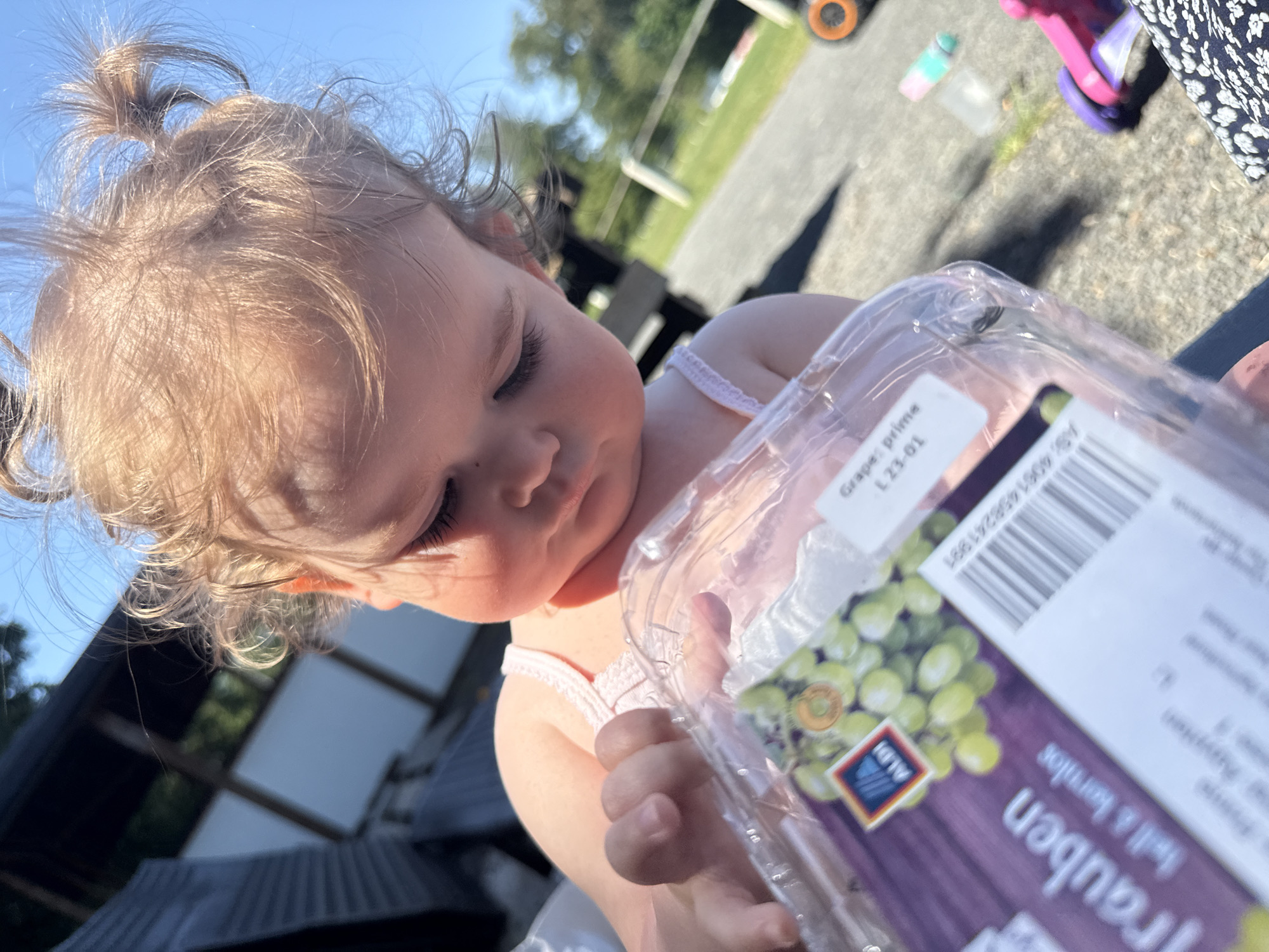 A toddler with light brown hair is sitting outdoors on a sunny day, holding a clear plastic container of green grapes. The container has a purple label with the word "Trauben" and the Aldi logo. The toddler is wearing a pink tank top and is looking down at the grapes with a curious expression. The background is slightly blurred but shows a paved area, grass, trees, and a blue sky. There are some toys in the background, suggesting a park or backyard setting. There is no visible indication that this image was taken in Beltershain, Germany.