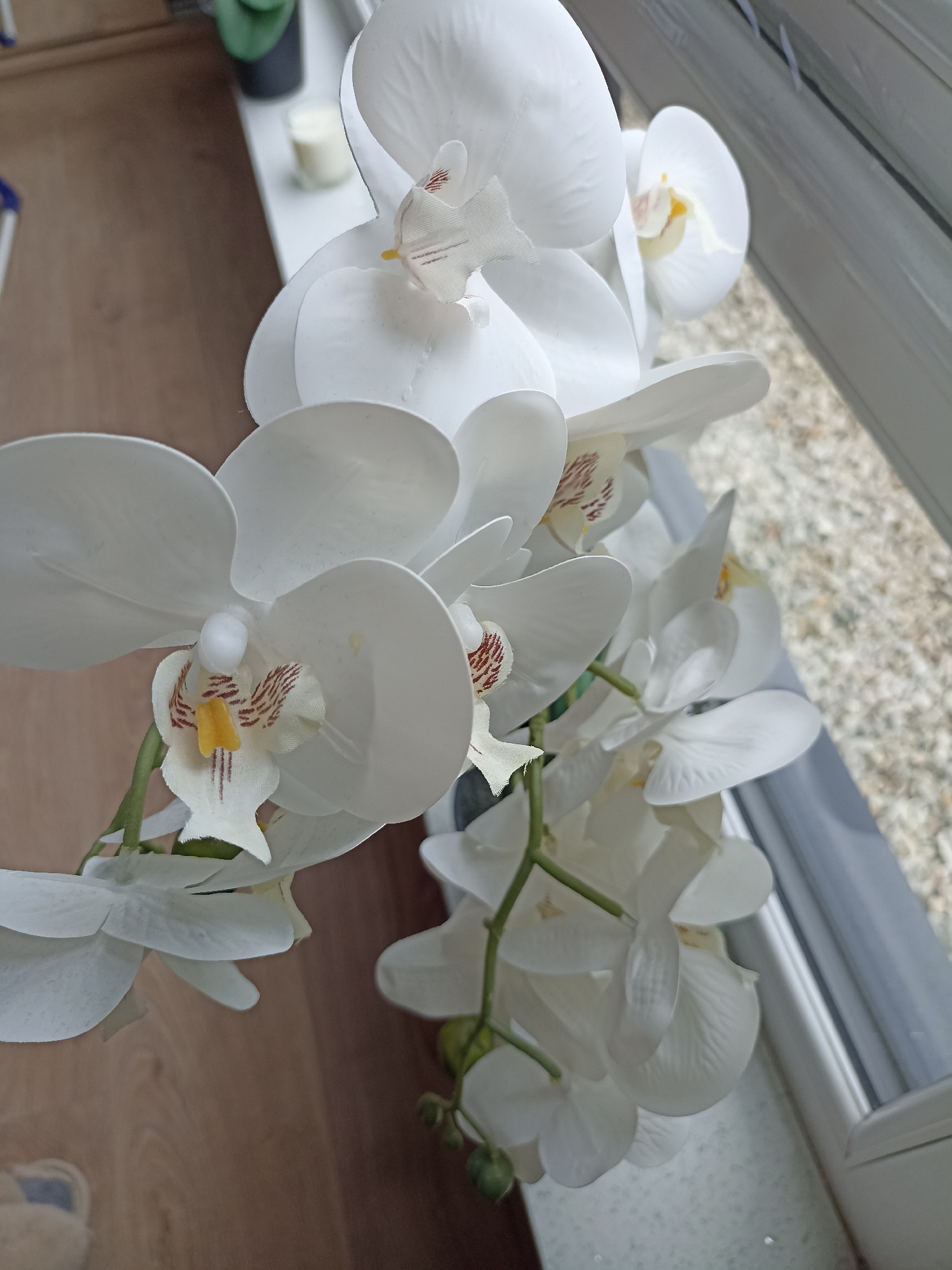 A cluster of white artificial orchids is displayed on a windowsill. The flowers are arranged on a green stem that curves downwards. Each orchid has multiple petals, with some featuring delicate brown markings and a yellow center. In the background, a wooden floor is visible, along with a white windowsill and a window that looks out onto a gravelly surface. The overall scene is indoors, likely in a residential setting. The specific location of Doirí Beaga, Ireland, is not discernible from the visual information provided in the image.