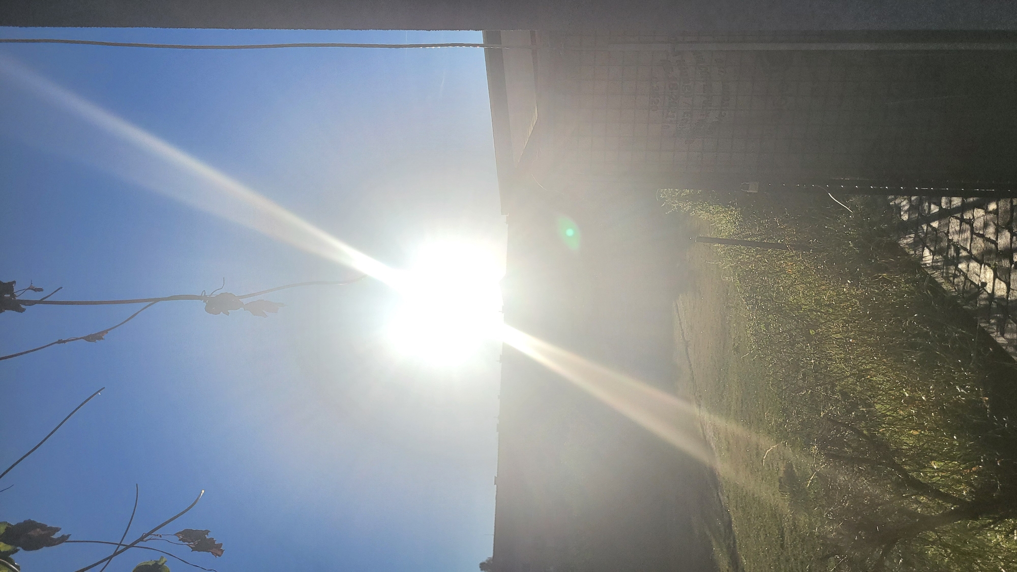 The image captures a bright, sun-drenched scene with the sun positioned high in a clear blue sky, creating strong lens flare that dominates the upper half of the frame. In the foreground, dried leaves hang from thin branches against the sky. Below the sun, a gentle slope of green grass and vegetation is visible, leading towards a structure with a textured, possibly brick or block, wall on the right side. This wall appears to have some faint writing or markings on it, and a vertical pole with a coiled wire runs along its side. Part of a paved walkway with a diamond pattern is visible in the lower right corner. The overall impression is of an outdoor area bathed in intense sunlight, likely during the daytime. There are no people or animals visible in the image. The location in Prešov, Slovakia, cannot be determined from the visual information alone.