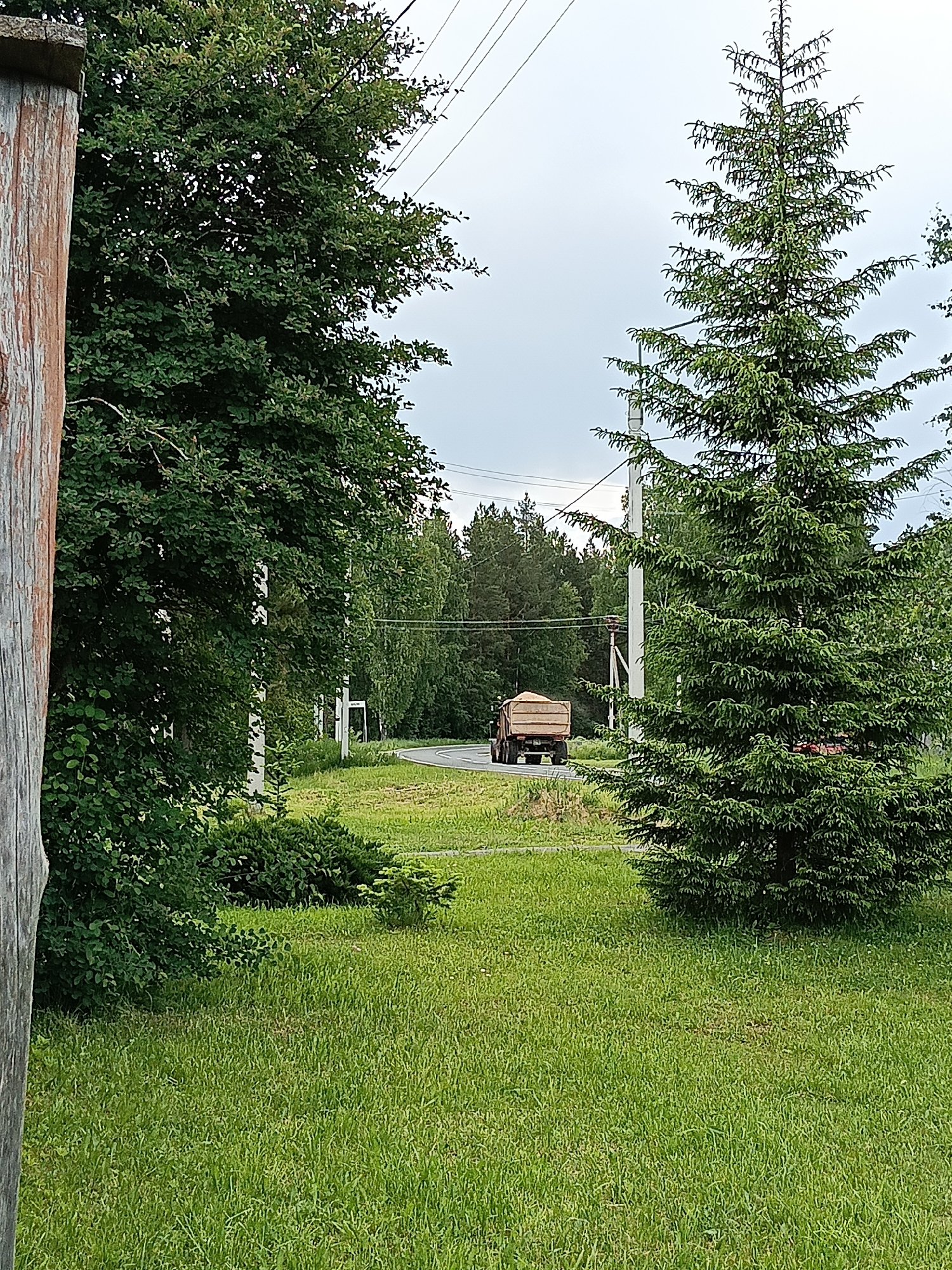 The image depicts a rural or semi-rural outdoor scene in Красный Маяк, Russia, during what appears to be daytime under an overcast or partly cloudy sky. The foreground is covered with abundant, vibrant green grass.
On the far left, a weathered wooden post or utility pole is partially visible, framing the scene. To its right, dense green deciduous tree foliage occupies the left mid-ground. On the right side of the frame, a tall, slender coniferous tree, likely a spruce or fir, stands prominently.
A paved road, possibly asphalt, curves gently towards the left and recedes into the distance. A large, light-colored truck, resembling a dump truck or an agricultural vehicle, is seen driving away from the viewer on this road. The truck appears to be loaded with a light-colored material, such as sand, gravel, or grain.
Several white or light-colored utility poles line the road, supporting overhead power lines that traverse the upper part of the image. The background features a dense forest composed of various tree types, extending towards a light, hazy sky. The overall scene conveys a sense of calm, everyday activity within a natural, green landscape. No legible text is visible on any objects.