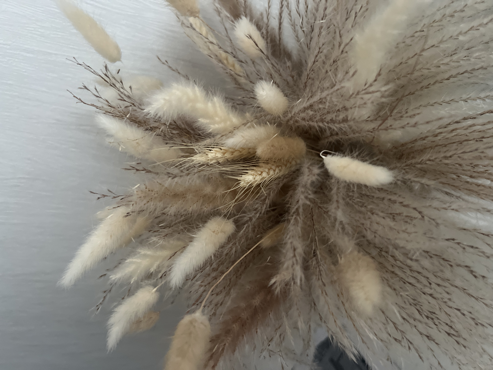 The image is a close-up, overhead shot of a bouquet of dried grasses and reeds. The arrangement features a variety of textures and colors, primarily in shades of beige, cream, and light brown. Some of the elements are soft and fluffy, resembling cattails, while others are more feathery and wispy, with delicate brown stems. The background is a plain, textured white wall. There are no people, actions, or interactions visible in the image. The location in Votkinsk, Russia, is not discernible from the visual information provided.
