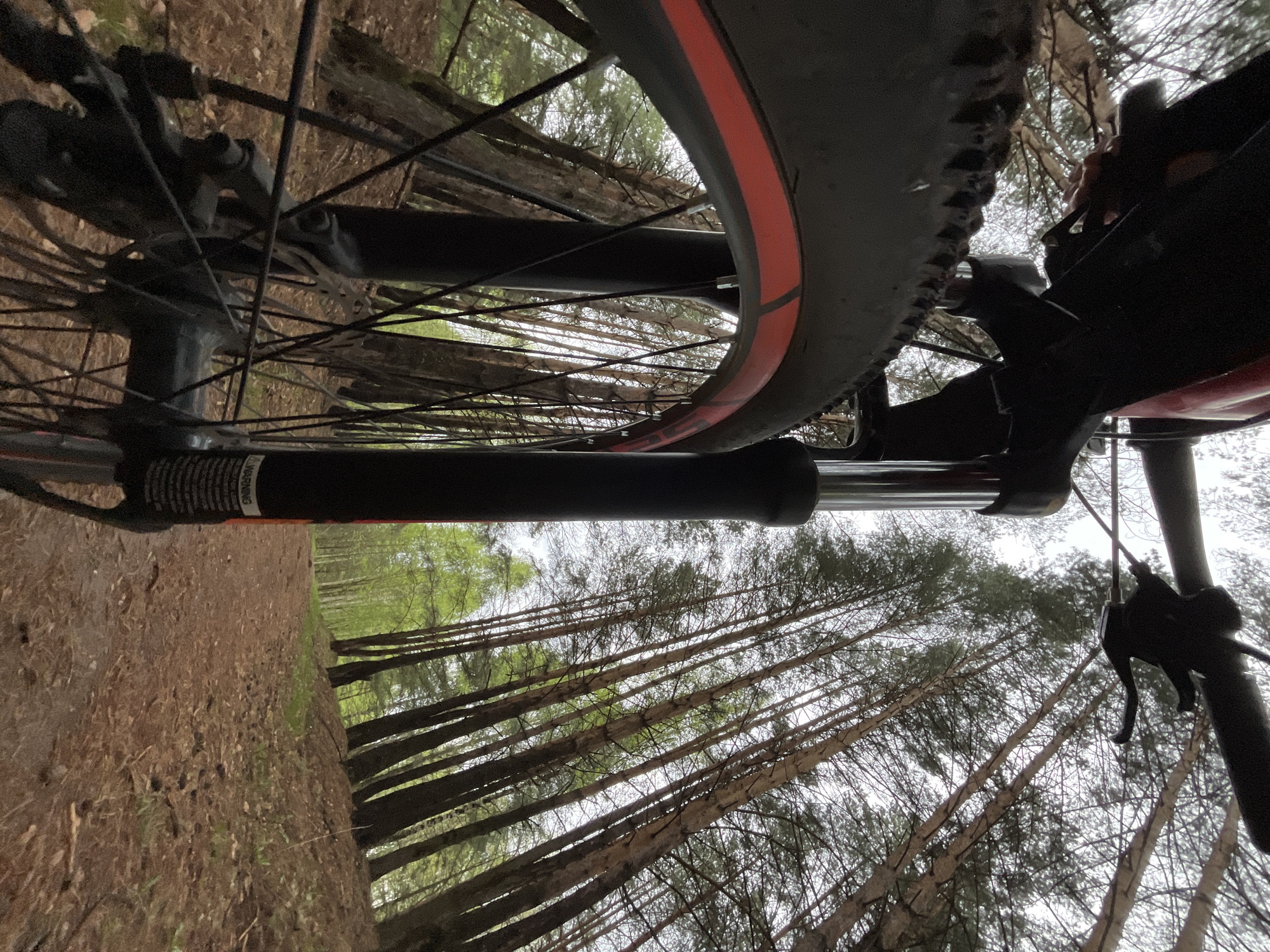 The image depicts a low-angle shot of a bicycle, focusing on the front wheel and suspension fork. The tire has a red stripe. The foreground shows a dirt trail covered with leaves and vegetation. The background reveals a dense forest with tall, thin trees reaching towards the sky. The location is the city of Chaikovsky, Russia.