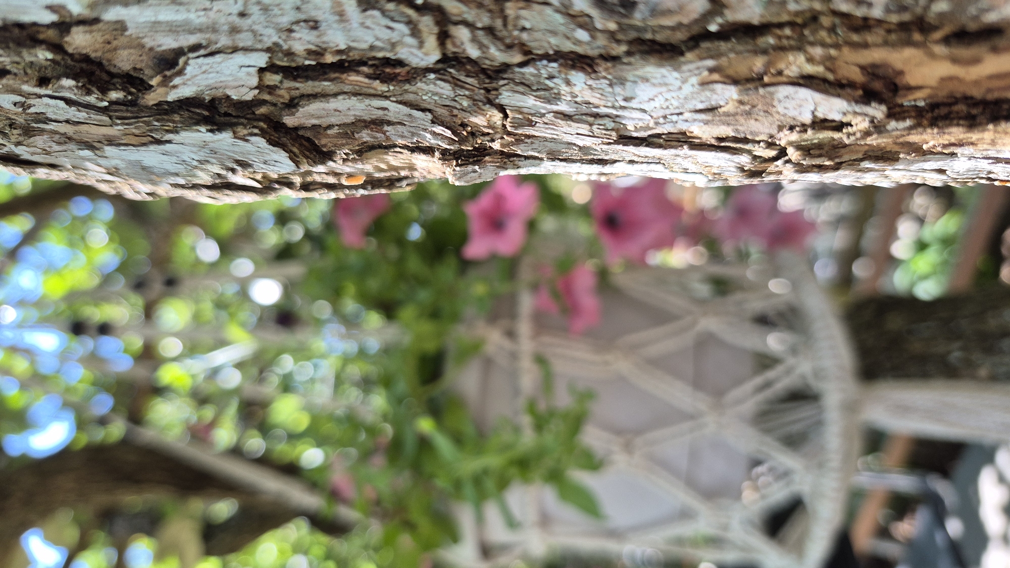A close-up, vertical, outdoor, daytime, eye-level shot focuses on the rough, textured bark of a tree on the right side of the frame. The bark is light brown and gray with deep crevices. To the left and out of focus, a hanging planter is visible. The planter is made of macrame with a white or light-colored fabric pot. Pink petunia flowers and green leaves spill out of the planter. The background is a blur of green foliage and blue sky, with bokeh effects from the sunlight. The scene appears to be in a garden or yard.