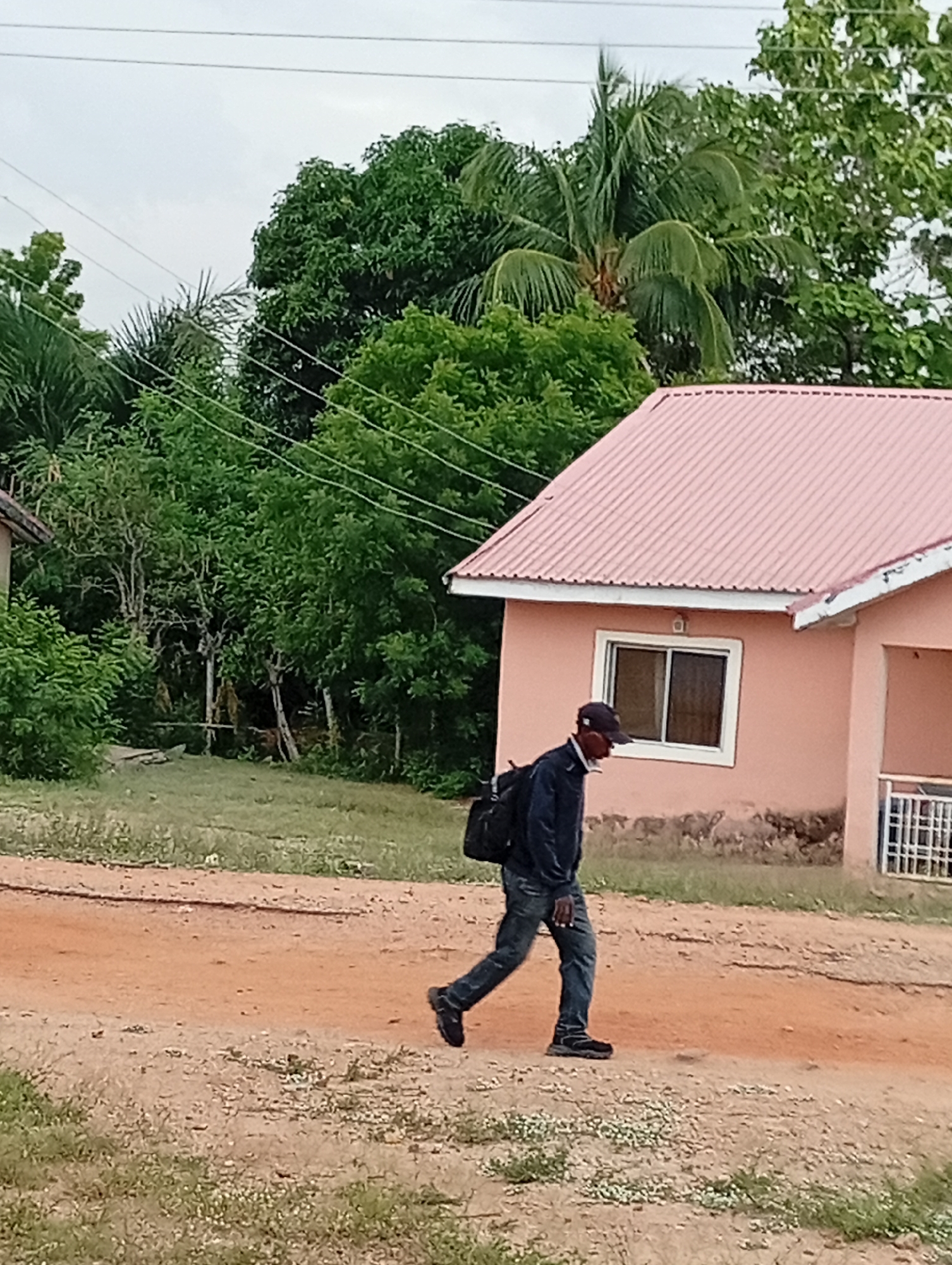 The image depicts an outdoor scene in Adankolo, Nigeria, featuring a man walking along a dirt path beside a house, set against a backdrop of dense green vegetation under an overcast sky.
A man, viewed in profile, is the primary subject, walking from left to right across the lower middle of the frame. He wears a dark cap, a dark long-sleeved top (possibly a jacket or sweatshirt), dark blue jeans, and dark athletic shoes. A black backpack is slung over his shoulders. His head is slightly bowed, and he appears focused on his path.
To the right of the man is a single-story house with a prominent pink corrugated metal roof. The walls of the house are a light peach or orange color, and a single white-framed window is visible. On the far right, a section of white metal railing or a gate is attached to the house. The base of the house shows some discoloration or textured concrete.
The background is rich with greenery, featuring numerous tall trees and bushes with lush, green foliage, including visible palm trees. This dense vegetation suggests a tropical environment. Above the trees, utility lines or power lines crisscross the frame against a uniformly gray, overcast sky. The ground in the foreground and beneath the man is an unpaved path of reddish-brown dirt, with scattered patches of sparse green grass and small white flowers. The setting conveys a quiet, possibly semi-rural or residential area. No visible text is present in the image.