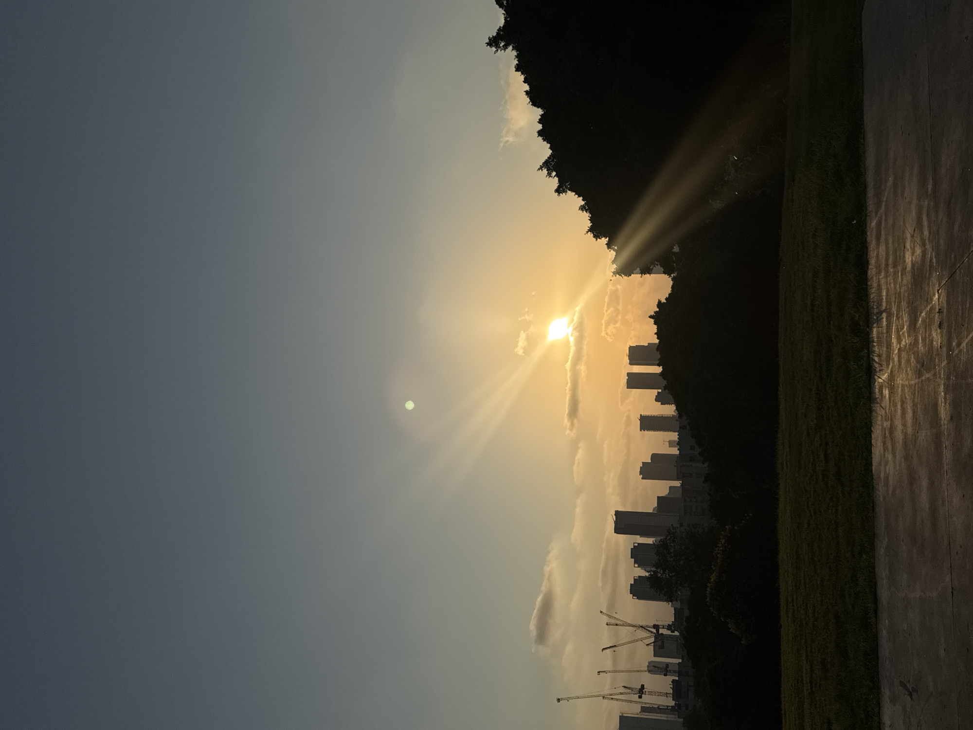 This image captures a sunset over Tel Aviv, Israel. The foreground features a paved walkway with a grassy field behind it, leading to a silhouette of trees. Beyond the trees, a cityscape emerges, dominated by tall buildings and construction cranes. The sun, a bright orb, is low in the sky, casting long rays of light that pierce through clouds and the silhouettes of the trees, creating a dramatic effect. The sky transitions from a pale blue at the top to warm oranges and yellows near the horizon.