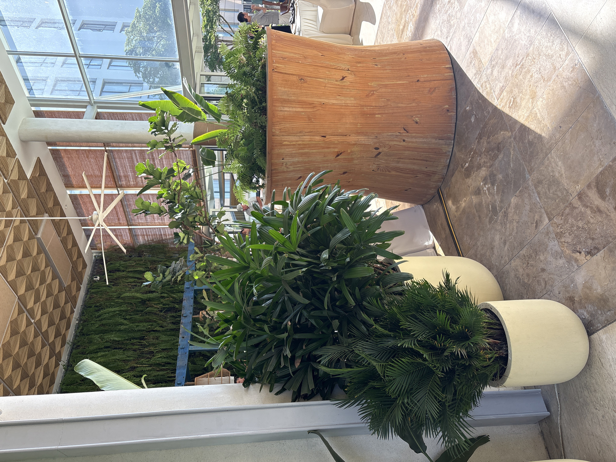 The image shows an interior space with large windows, a tiled floor, and an abundance of plants. The ceiling is textured with a geometric pattern. In the foreground, there are several potted plants, including a large one with fan-shaped leaves and a smaller, bushy palm. To the right, a large wooden planter holds a dense arrangement of ferns. In the background, through the windows, a modern building and trees are visible. There are a few people in the background, some standing near tables and chairs. One man is wearing a light-colored shirt and shorts, and another is in a grey t-shirt. The overall impression is a bright, airy, and natural environment within a building, likely a hotel lobby or event space in Đà Nẵng, Vietnam, given the architectural style and tropical vegetation.