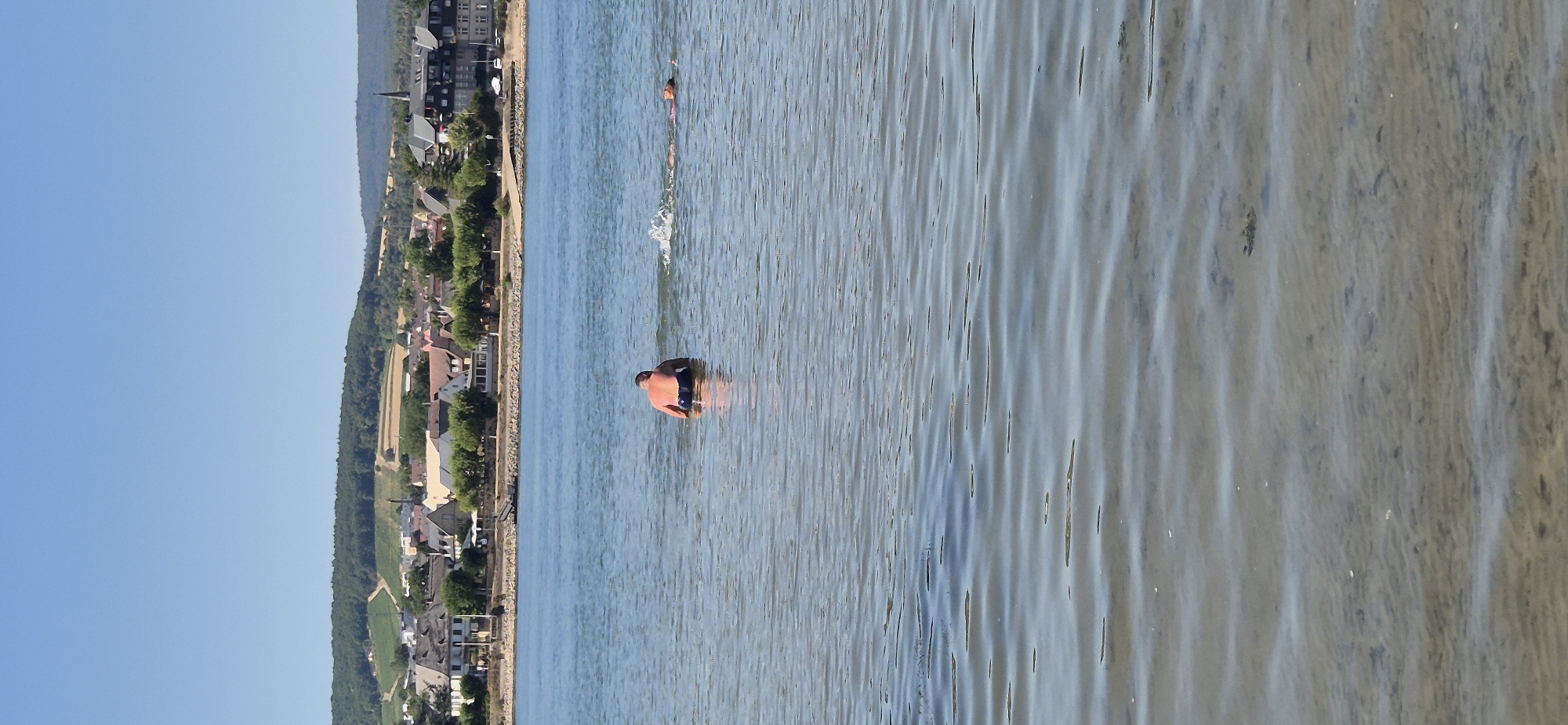 In Budenheim, Germany, on a bright, clear day, two individuals are in the Rhine River. A man, wearing dark swim trunks, is partially submerged in the water, facing away from the camera with his head down. Another person, wearing a pink swimsuit, is swimming further out, creating a splash in the water. The river is calm with ripples reflecting the blue sky and the distant town. The background shows the town of Budenheim with its buildings nestled amongst green trees, and a vineyard-covered hillside with a clear blue sky above. The foreground of the image shows the shallow, sandy riverbed beneath the clear water.