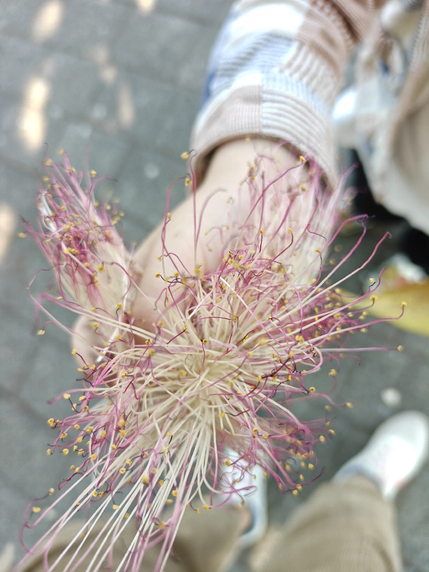 Memory
