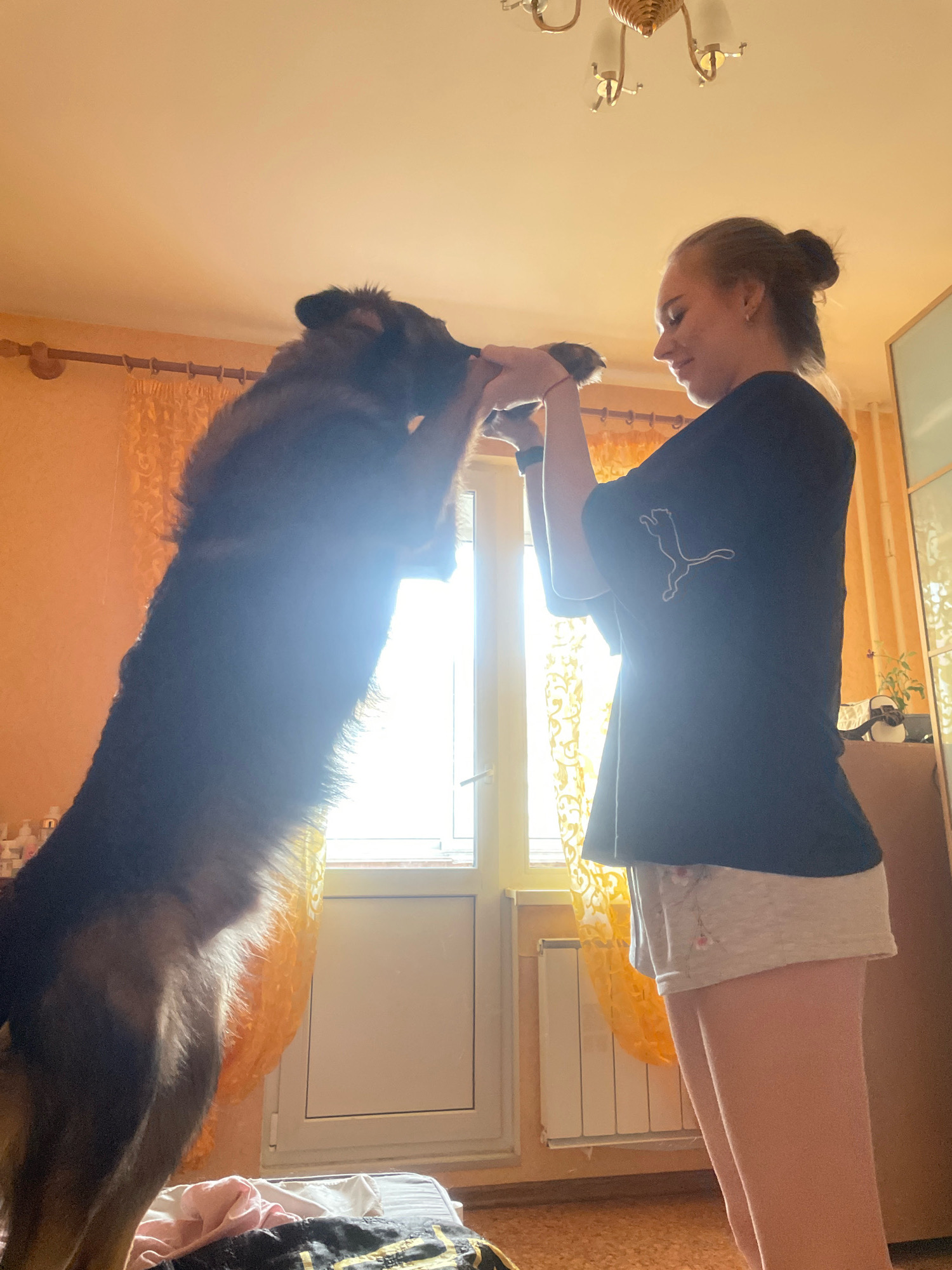 In a domestic interior, likely a bedroom given the presence of a bed, a young woman with her hair in a bun stands facing a large German Shepherd dog. The woman is wearing a dark t-shirt with a white Puma logo and light-colored shorts. She is looking down and smiling, holding the dog's front paws as it stands on its hind legs, reaching up towards her. Sunlight streams in from a large window behind them, creating a lens flare effect and silhouetting the dog. Orange curtains are drawn partially across the window, and a radiator is visible below it. A chandelier hangs from the ceiling. The overall impression is of a playful interaction between the woman and her pet. The scene is dimly lit, with warm, orange tones dominating the lighting.