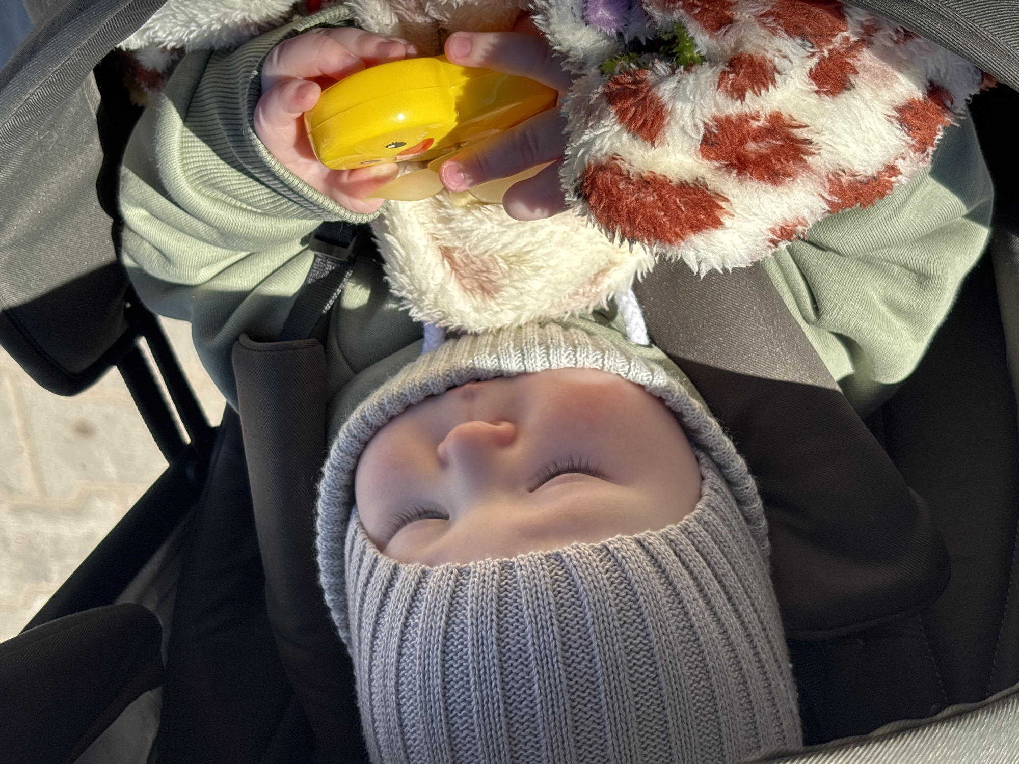 The image depicts an infant asleep in a stroller. The baby is wearing a grey knitted hat and is bundled in layers of clothing, including a light green sweatshirt and a fuzzy jacket with brown and white spots. The infant's hands are visible, holding a yellow plastic toy. The stroller is dark grey. The location of the image is not discernible.