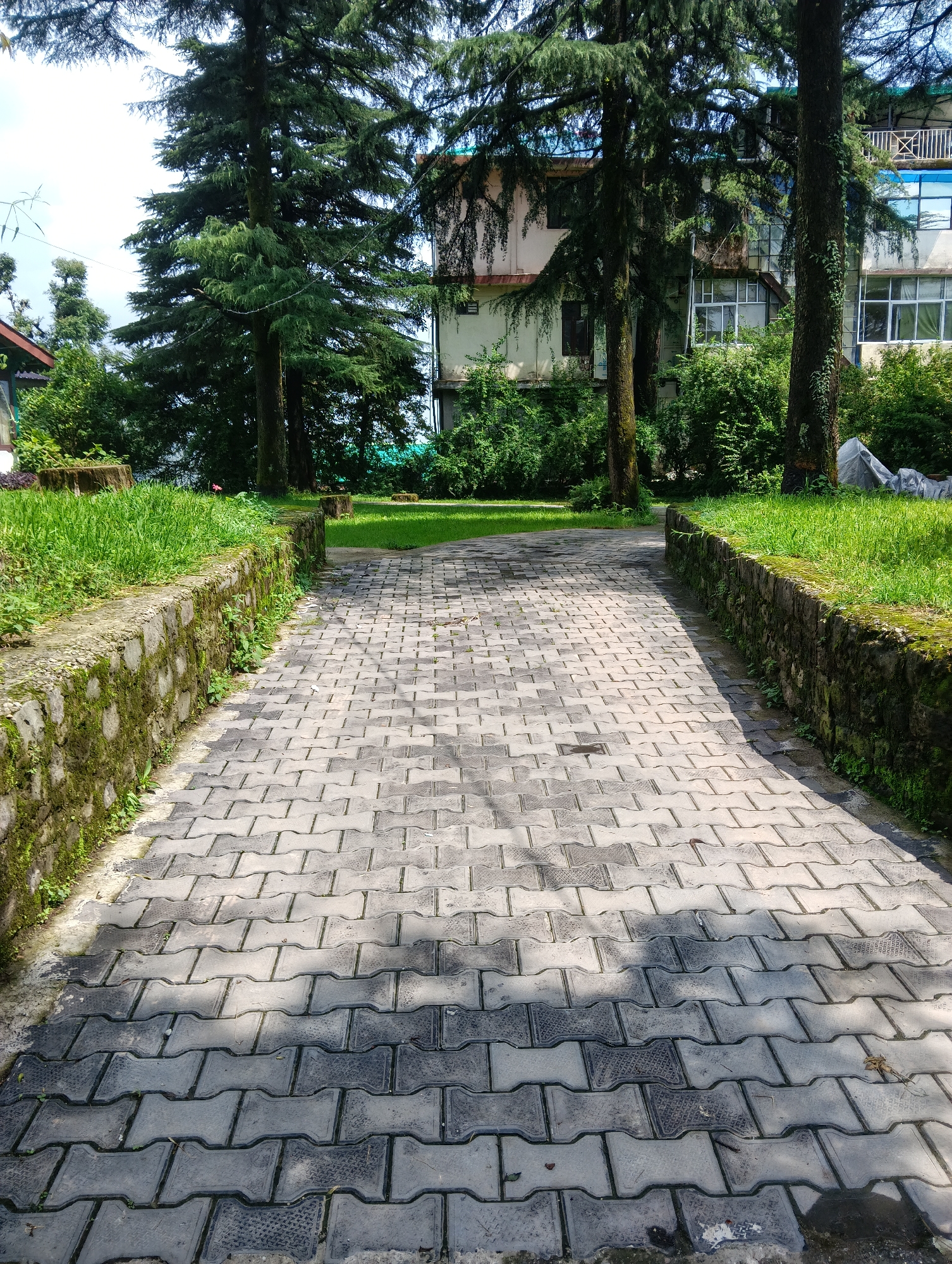 A paved walkway made of interlocking gray pavers leads into a park-like setting. The walkway is bordered on either side by low stone walls covered in moss, with well-maintained green grass and trees beyond. In the background, there is a multi-story building with balconies and windows, suggesting an urban or semi-urban environment. The sky is visible at the top of the image, with a bright, possibly overcast, condition. The scene appears to be from Bhagsu, India, given the architectural style and lush greenery. There are no people visible in the image.