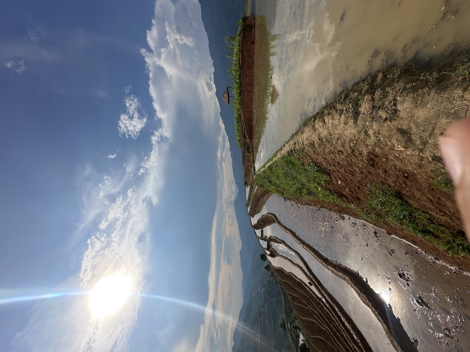 This image depicts a breathtaking landscape of terraced rice paddies in Lao Chai, Vietnam, under a bright, sunny sky. The photograph is taken from an elevated vantage point, looking across the intricate network of flooded fields.
In the upper portion of the frame, a clear blue sky dominates, adorned with scattered white clouds ranging from wispy streaks to more substantial, fluffy formations. A brilliant sunburst and prominent lens flare emanate from the upper-left corner of the sky, indicating the intense light of a low sun, characteristic of either early morning or late afternoon.
The mid-ground features a distant, undulating mountain range, appearing dark blue and somewhat hazy against the horizon. On a raised earthen ridge that traverses the rice paddies, a small, rustic hut with a thatched roof is visible, providing a point of interest amidst the expansive landscape.
The foreground is filled with the meticulously sculpted rice terraces, which are currently filled with water. These water-filled basins create vast reflective surfaces, mirroring the bright sky and the sun's intense glare, producing shimmering patterns across the fields. The earthen walls separating the terraces display varied textures, with some areas showing exposed soil and others covered in patches of vibrant green grass and vegetation.
A partial human hand or finger is visible in the bottom-right corner of the frame, suggesting the image was captured handheld. The scene evokes a profound sense of natural beauty, tranquility, and the harmonious integration of human agriculture with the mountainous environment. No discernible text is present in the image.