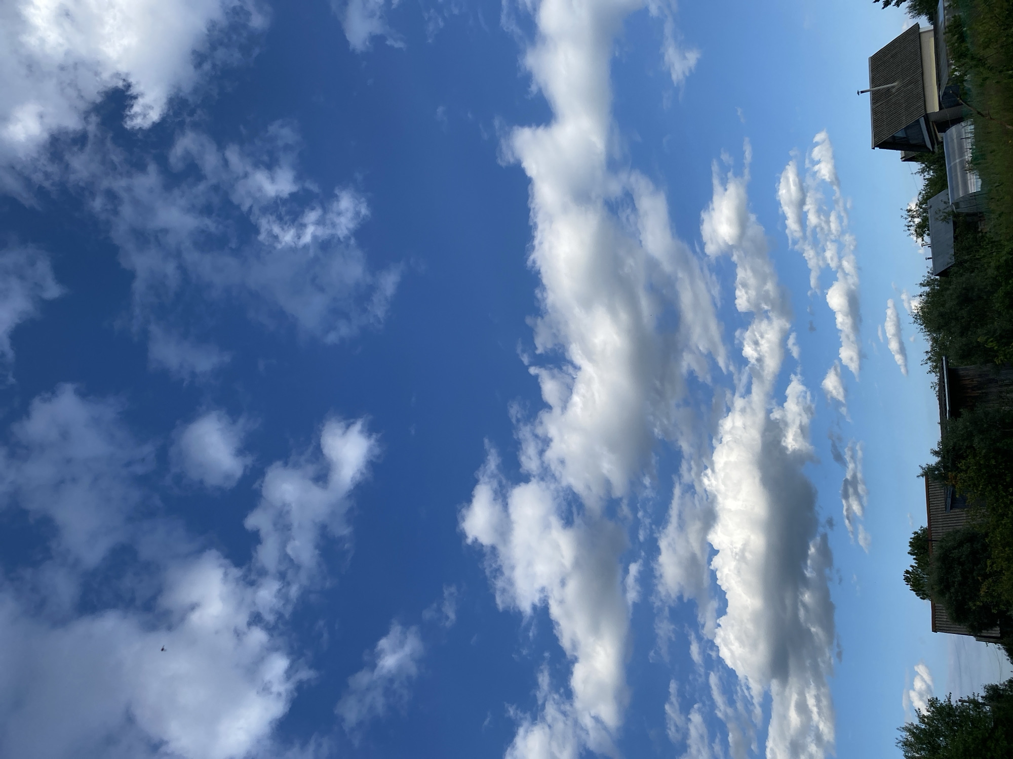 This is a vertical, eye-level, outdoor shot looking up at a partly cloudy blue sky. In the distance, on the right side of the frame, are the tops of some buildings and trees. The buildings appear to be residential or possibly industrial, with peaked roofs and some pipes protruding from them. The trees are lush and green, suggesting it is summertime. The clouds are scattered, some appearing wispy and others more dense and white, with some darker gray areas indicating they may be carrying rain. The lighting suggests it is daytime, likely late afternoon or early evening, due to the angle of the sun and the shadows cast. There are no people or animals clearly visible in the frame. A small dark object, possibly a bird or a distant drone, is visible in the sky. The overall impression is one of a rural or semi-rural setting on a pleasant but potentially changeable day.